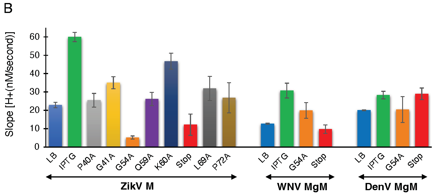 Biomedicines 10 00641 g003b Biomedicines 10 00641 g003b