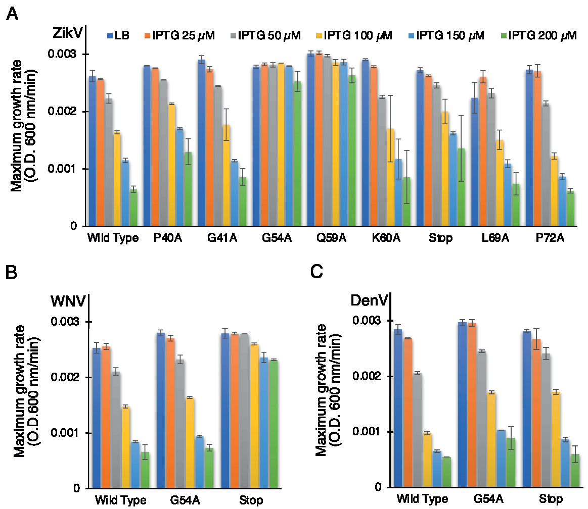 Biomedicines 10 00641 g004 Biomedicines 10 00641 g004