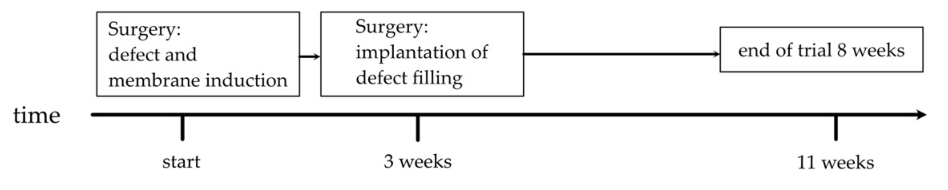 Biomedicines 10 00642 g001 550