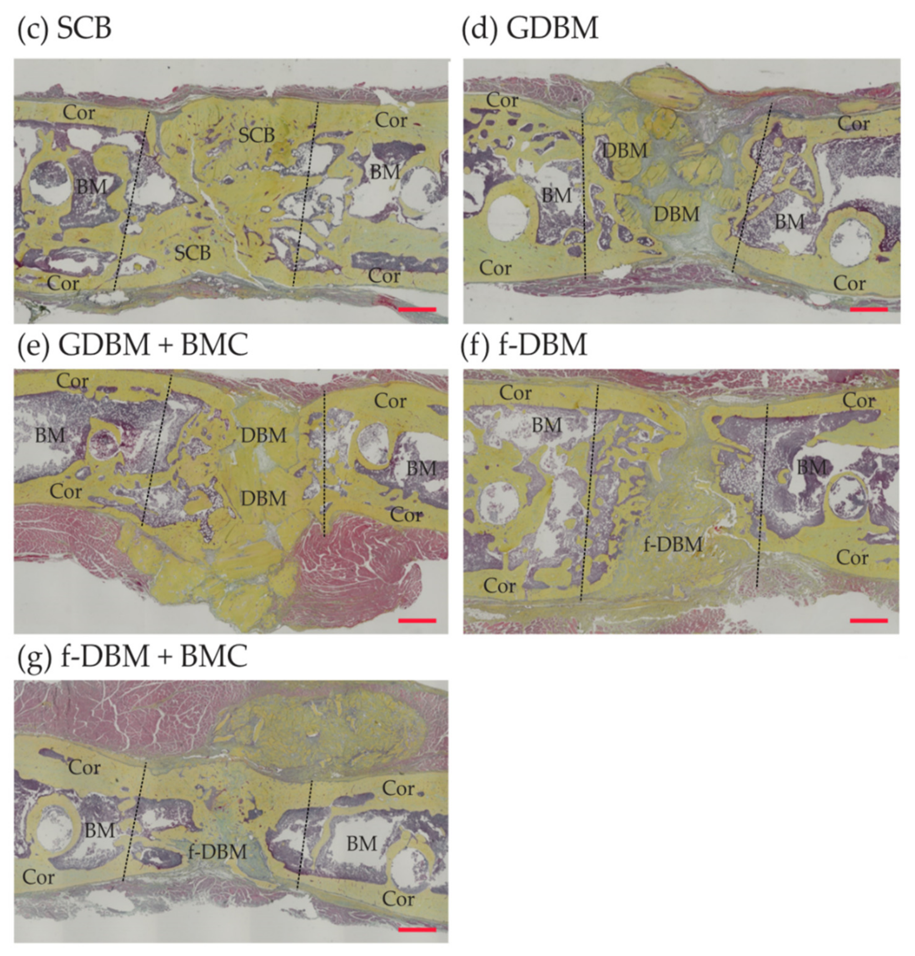 Biomedicines 10 00642 g004b 550