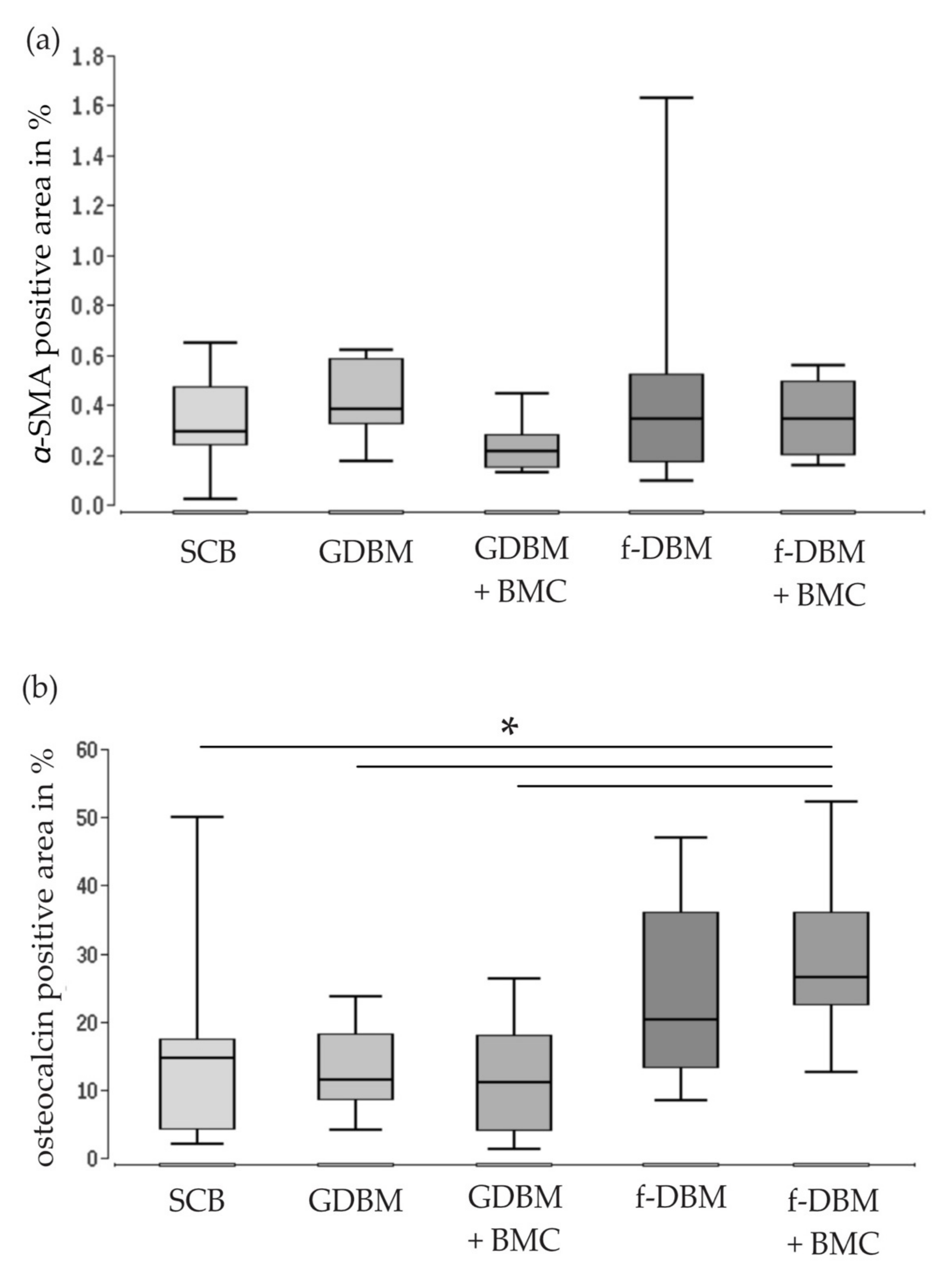 Biomedicines Free Full Text The Induced Membrane Technique Mdash The Filling Matters Evaluation Of Different Forms Of Membrane Filling With And Without Bone Marrow Mononuclear Cells Bmc In Large Femoral Bone Defects In