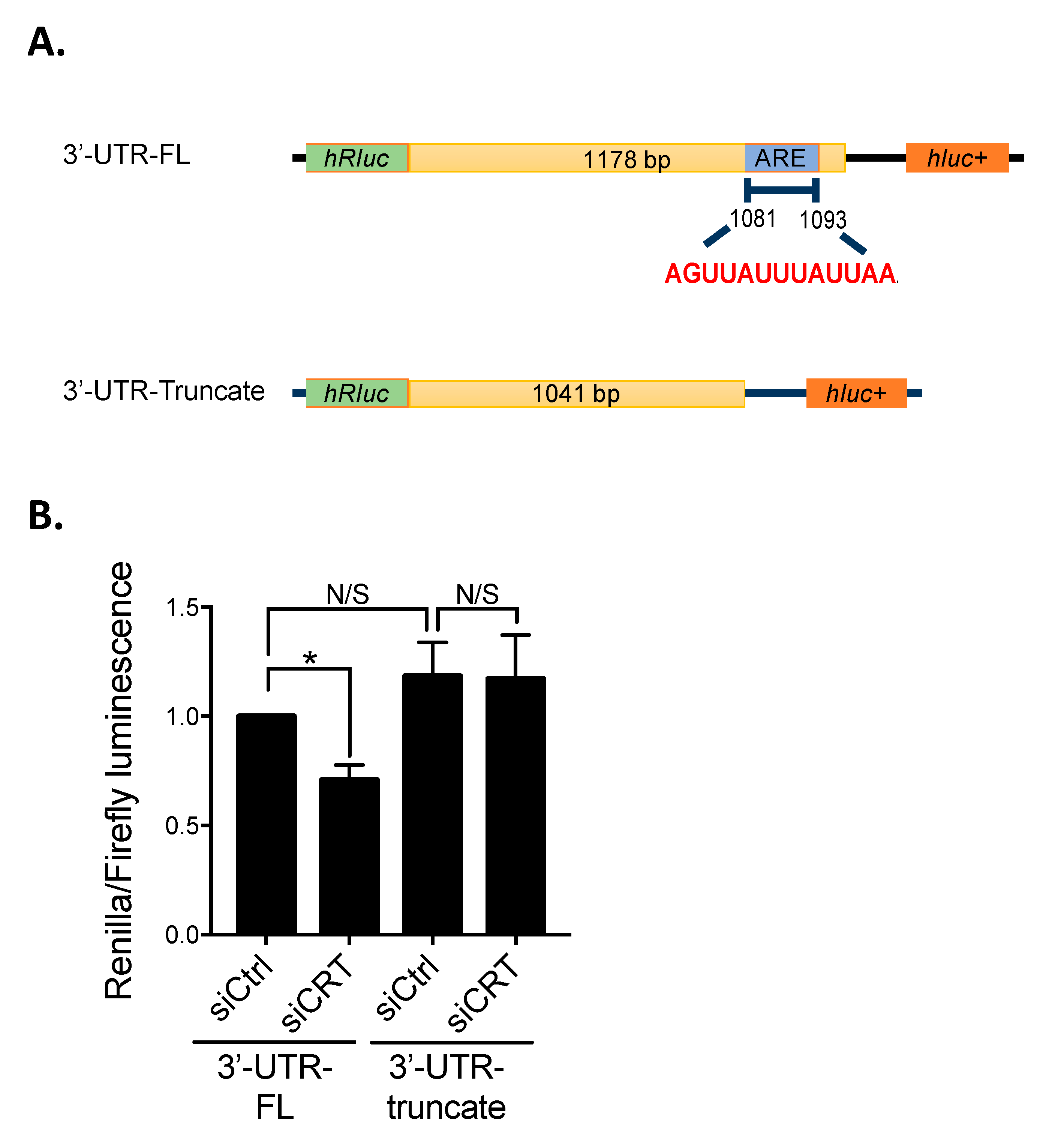 Biomedicines 10 00646 g002