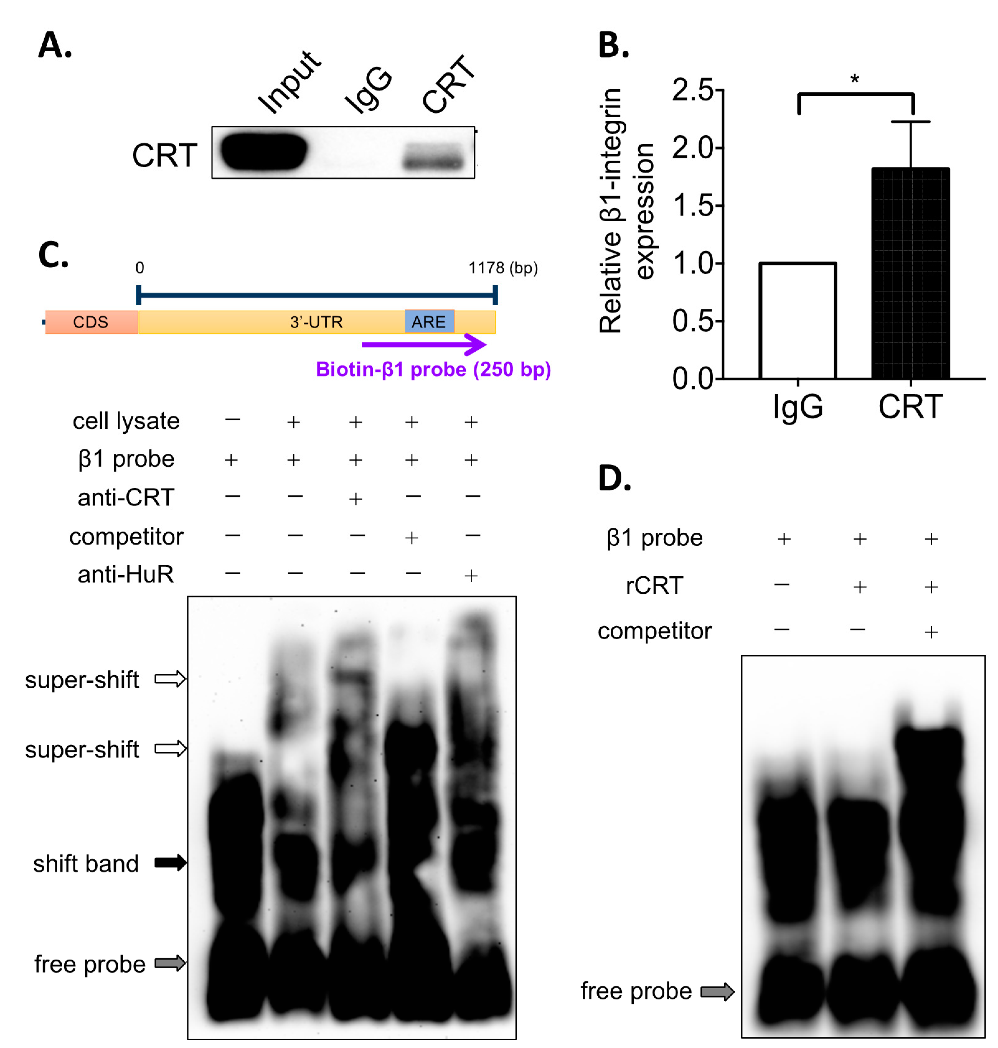 Biomedicines 10 00646 g003