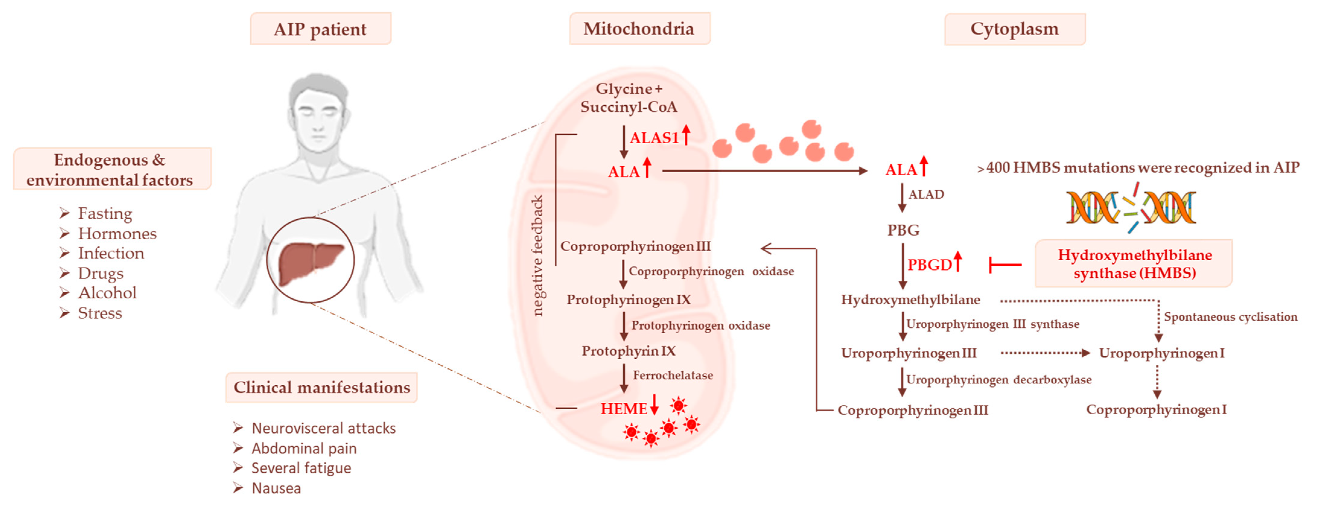 Biomedicines 10 00648 g001