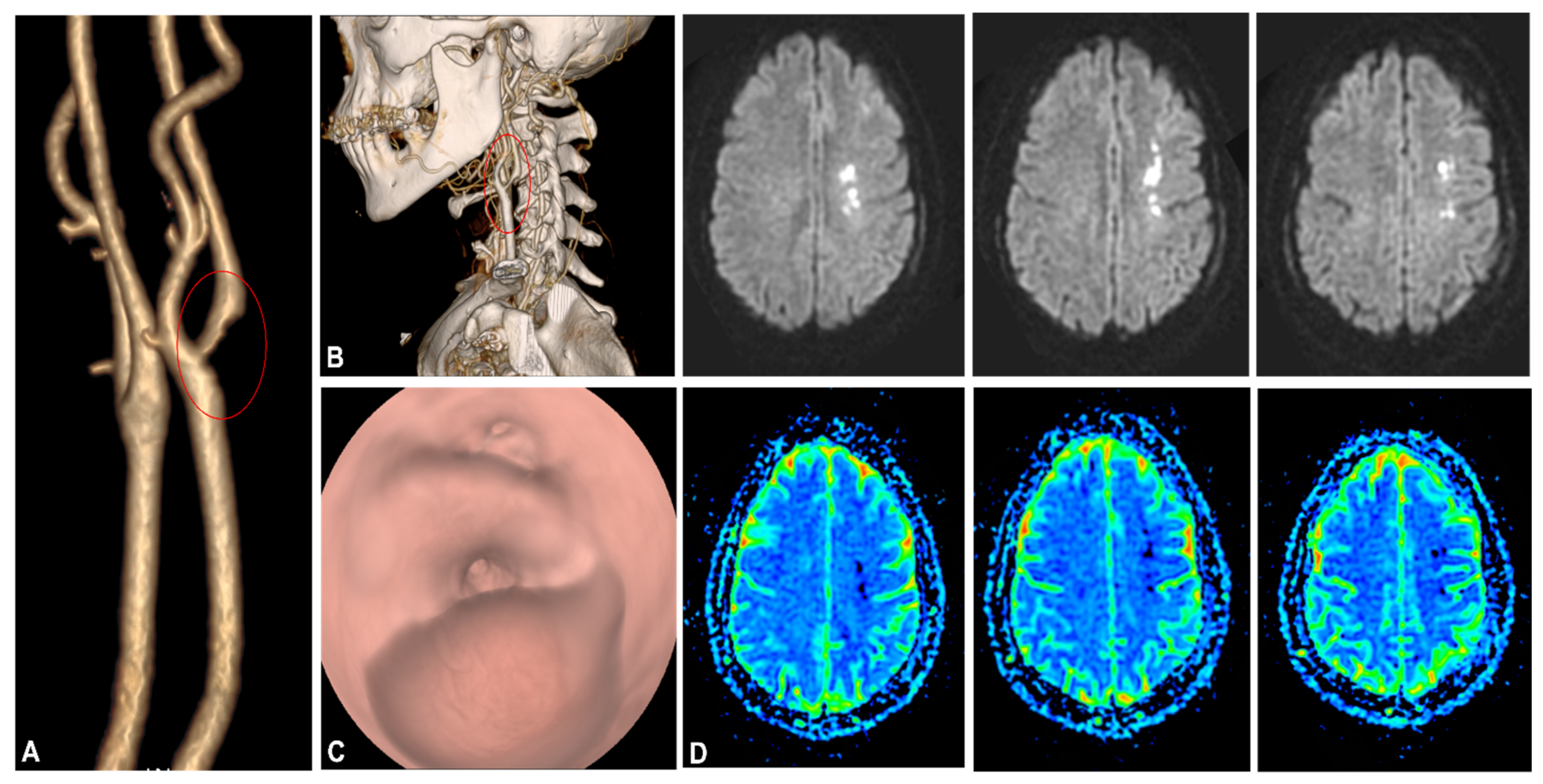 Biomedicines 10 00654 g001