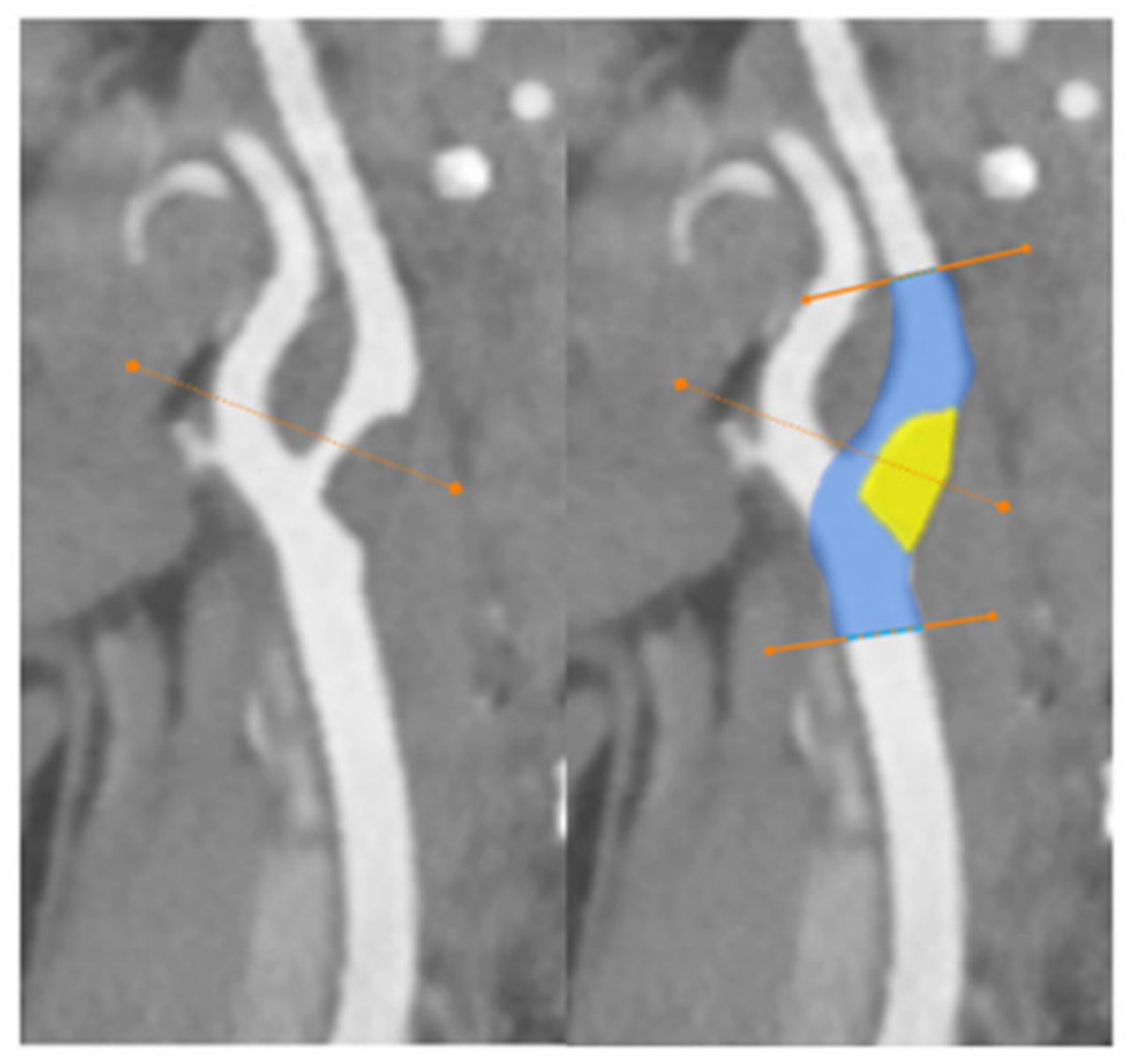Biomedicines 10 00654 g004