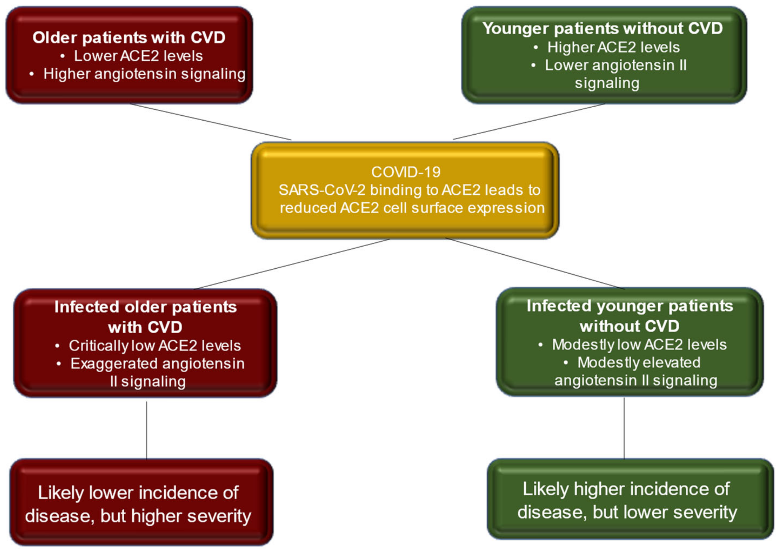 Biomedicines 10 00654 g005