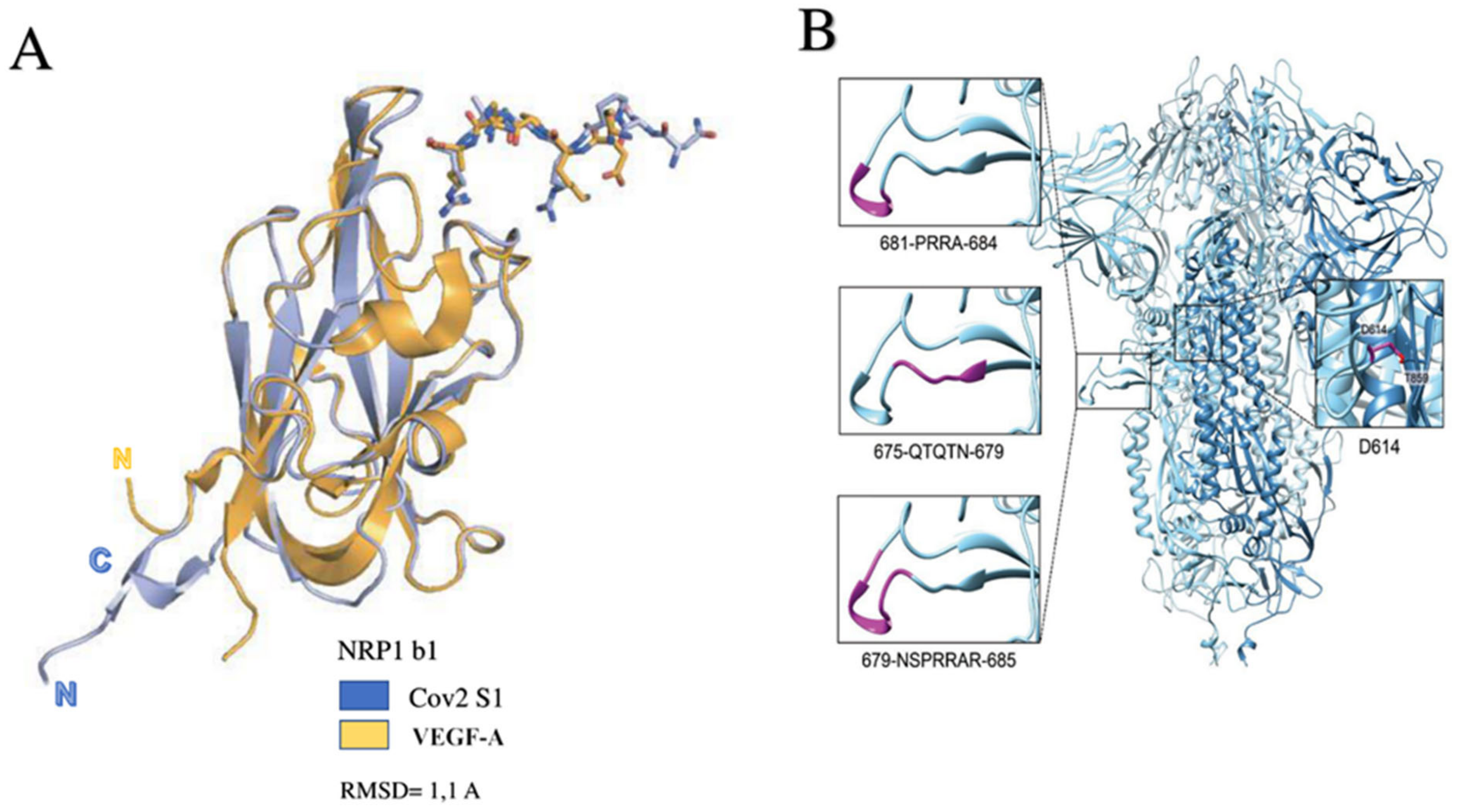Biomedicines 10 00654 g006