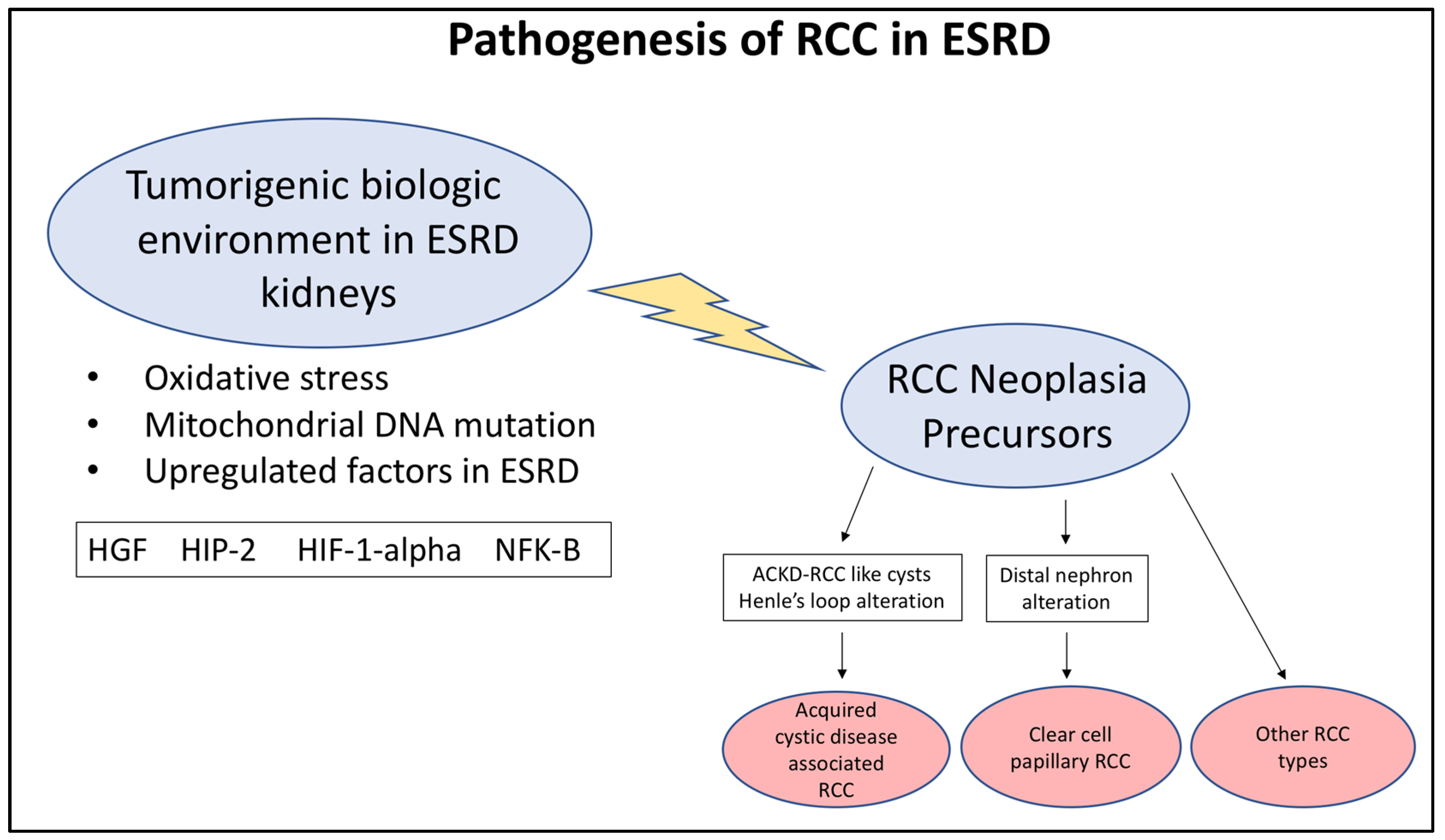 Biomedicines 10 00657 g001 Biomedicines 10 00657 g001