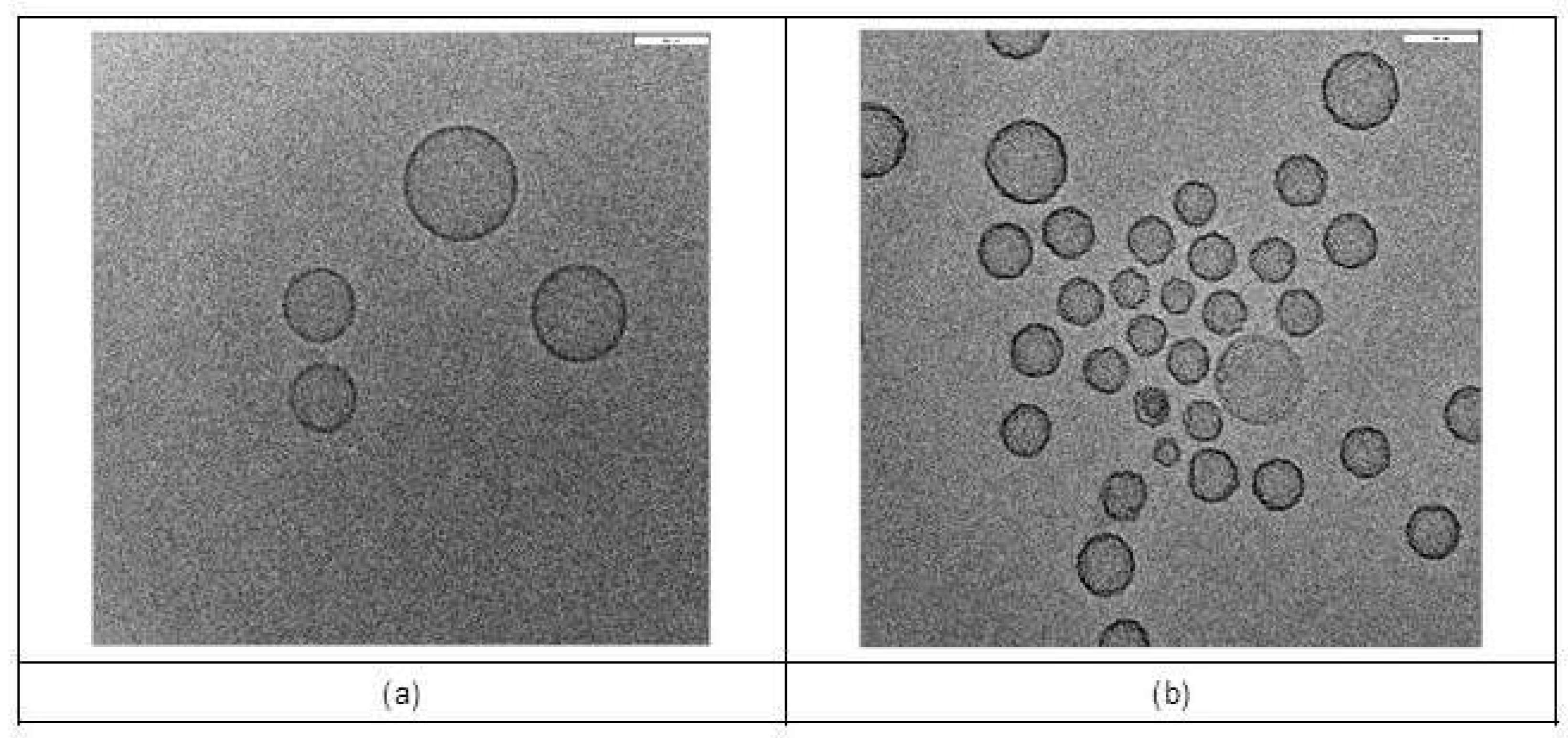 Biomedicines 10 00659 g002