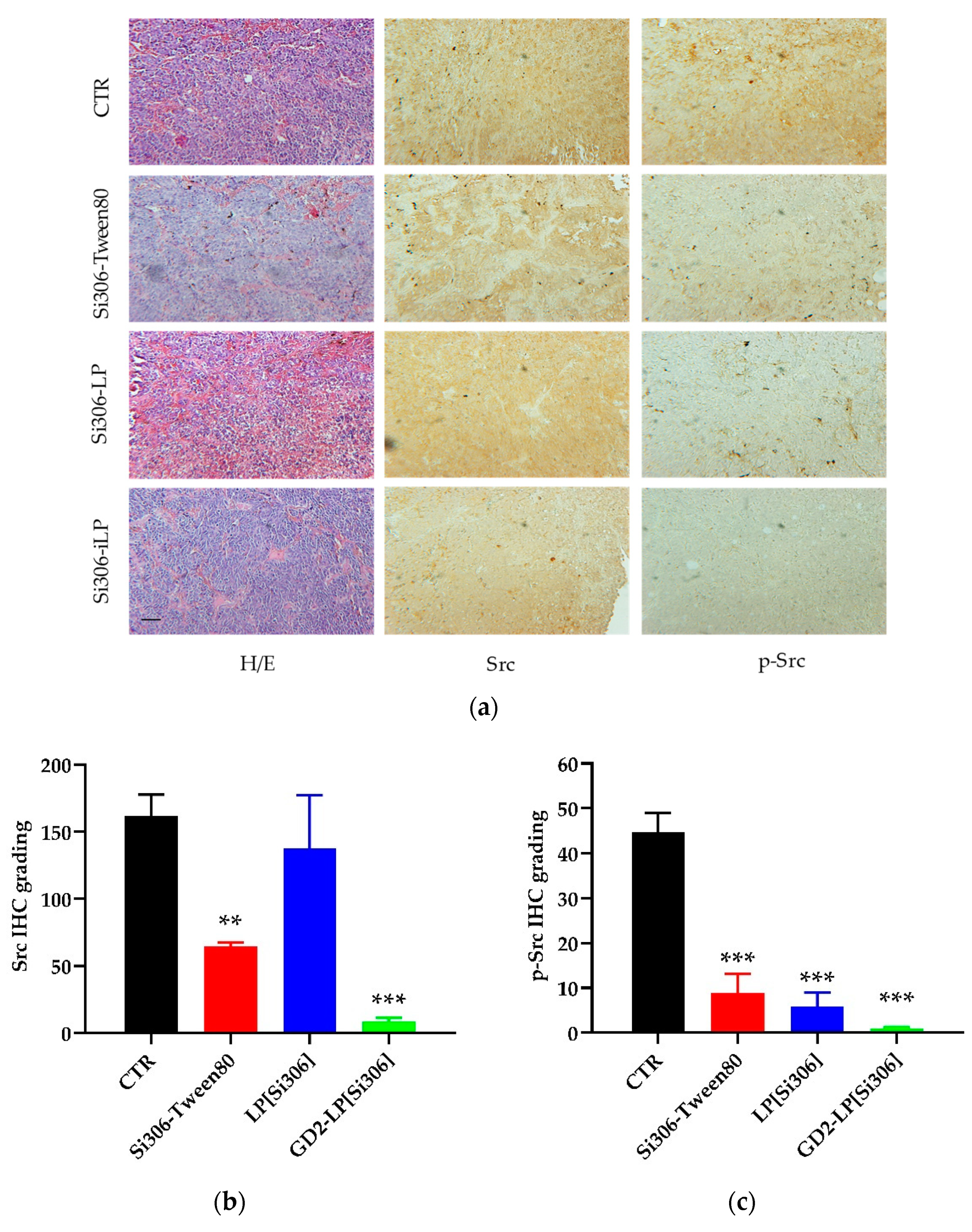 Biomedicines 10 00659 g007a