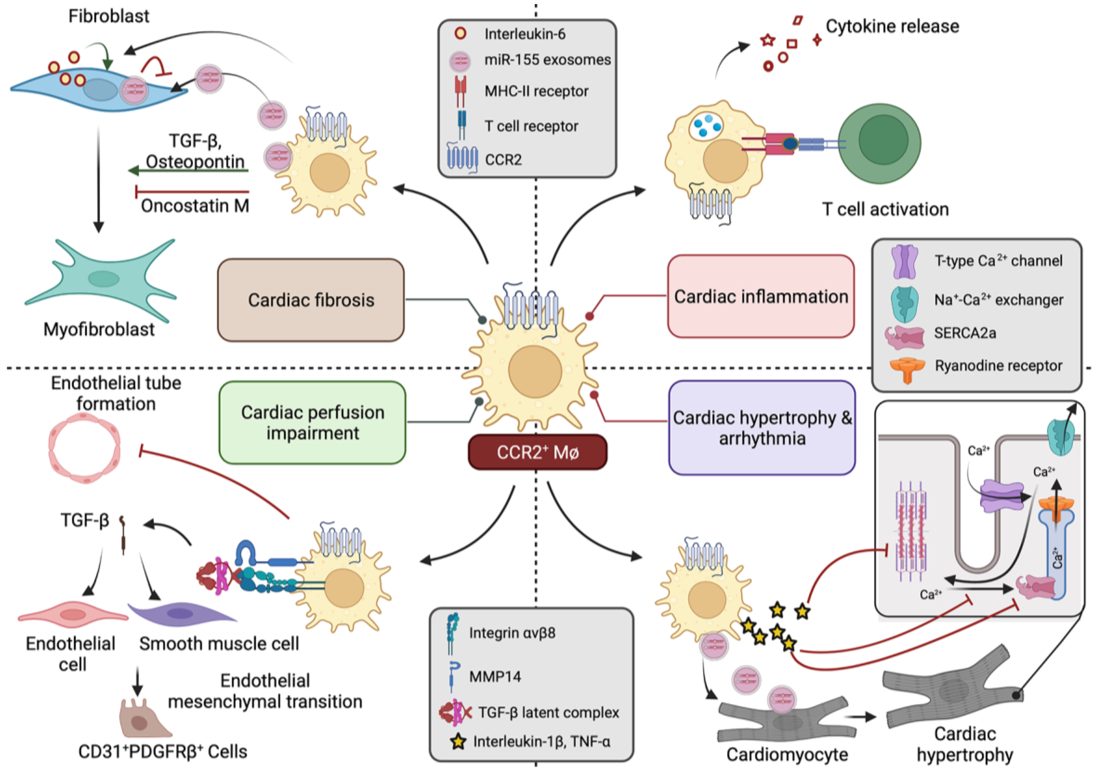 Biomedicines 10 00661 g002