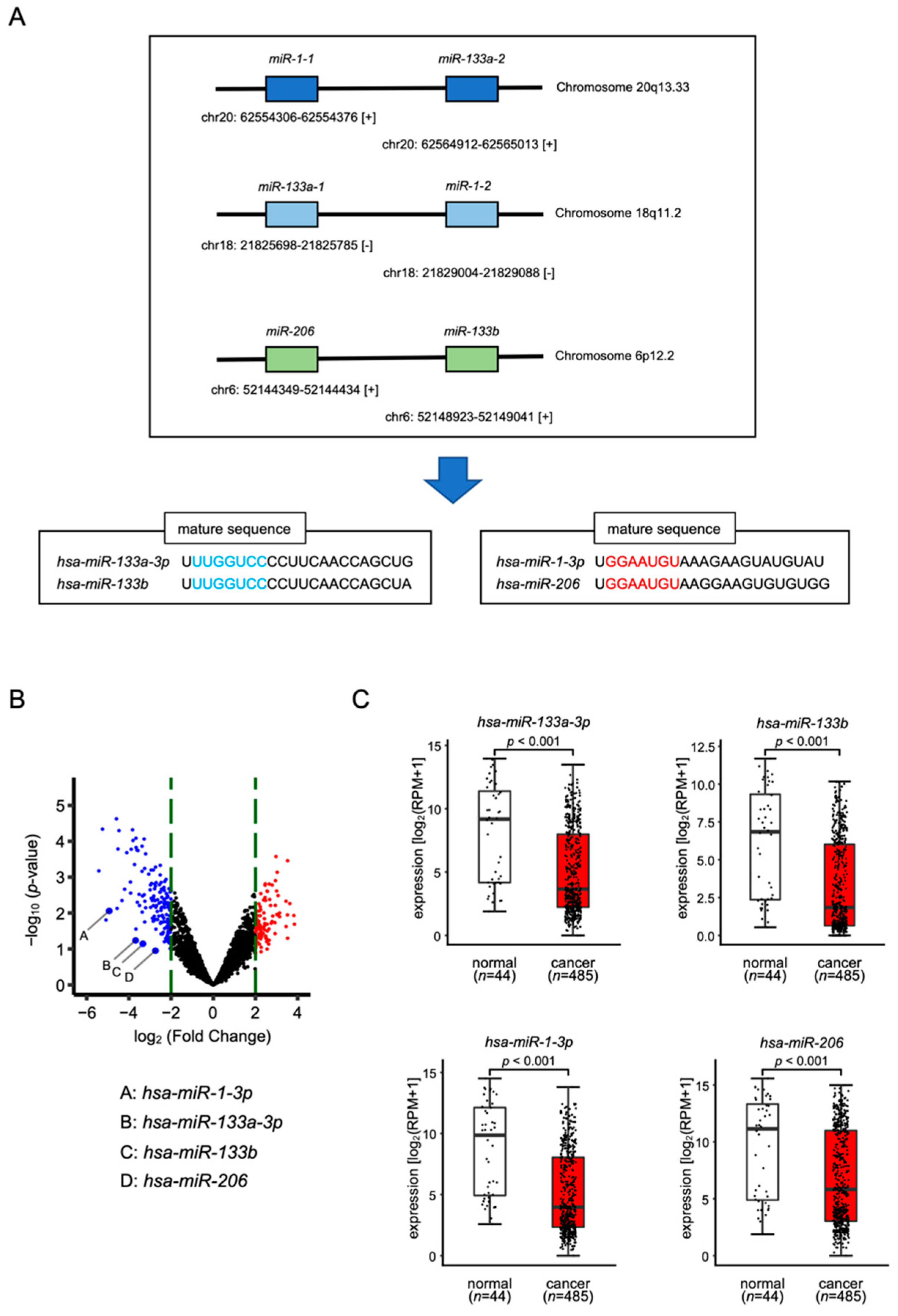 Biomedicines 10 00663 g001 Biomedicines 10 00663 g001