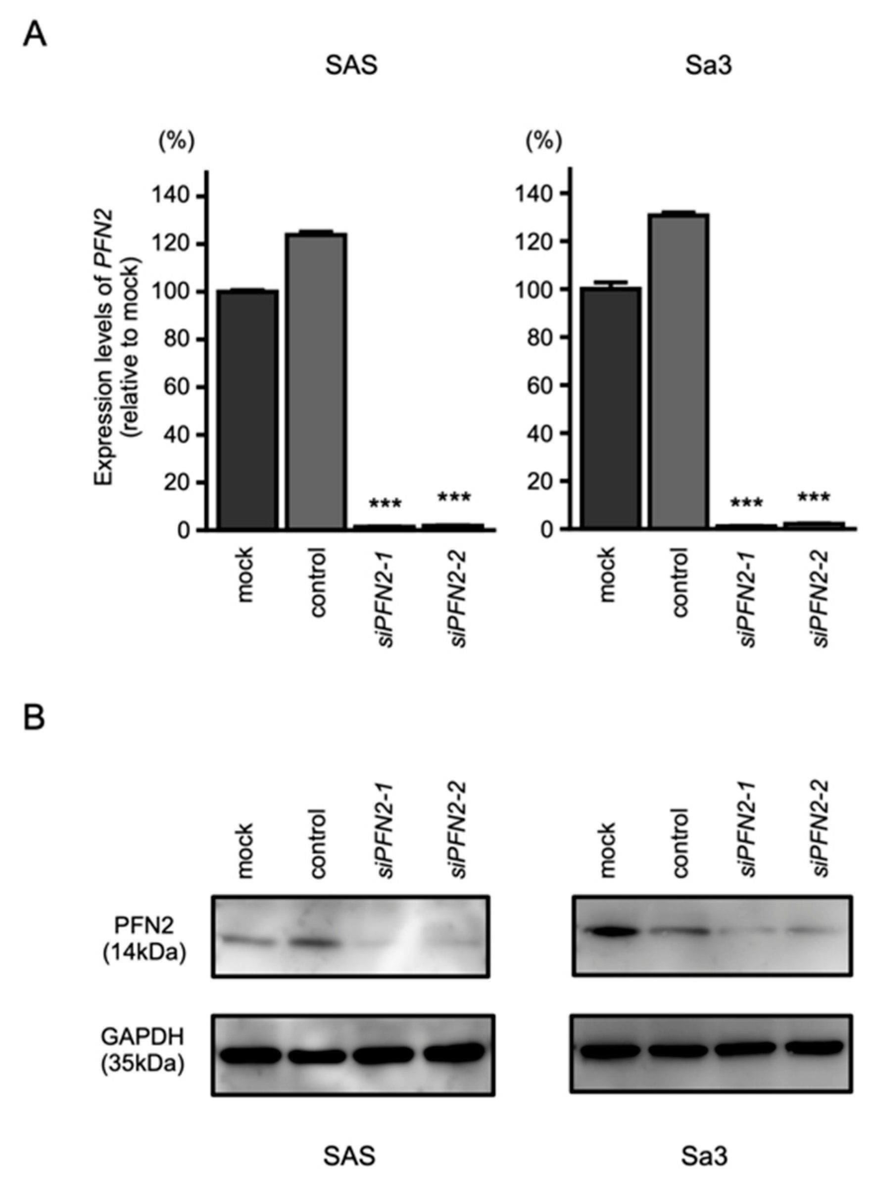 Biomedicines 10 00663 g008 Biomedicines 10 00663 g008