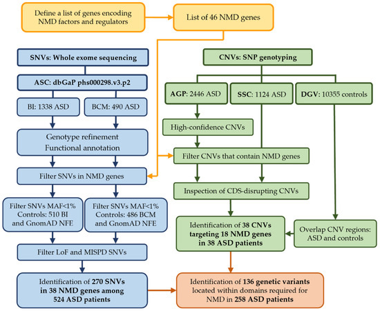 NFE - NFE Old Gens and OM Hub v2
