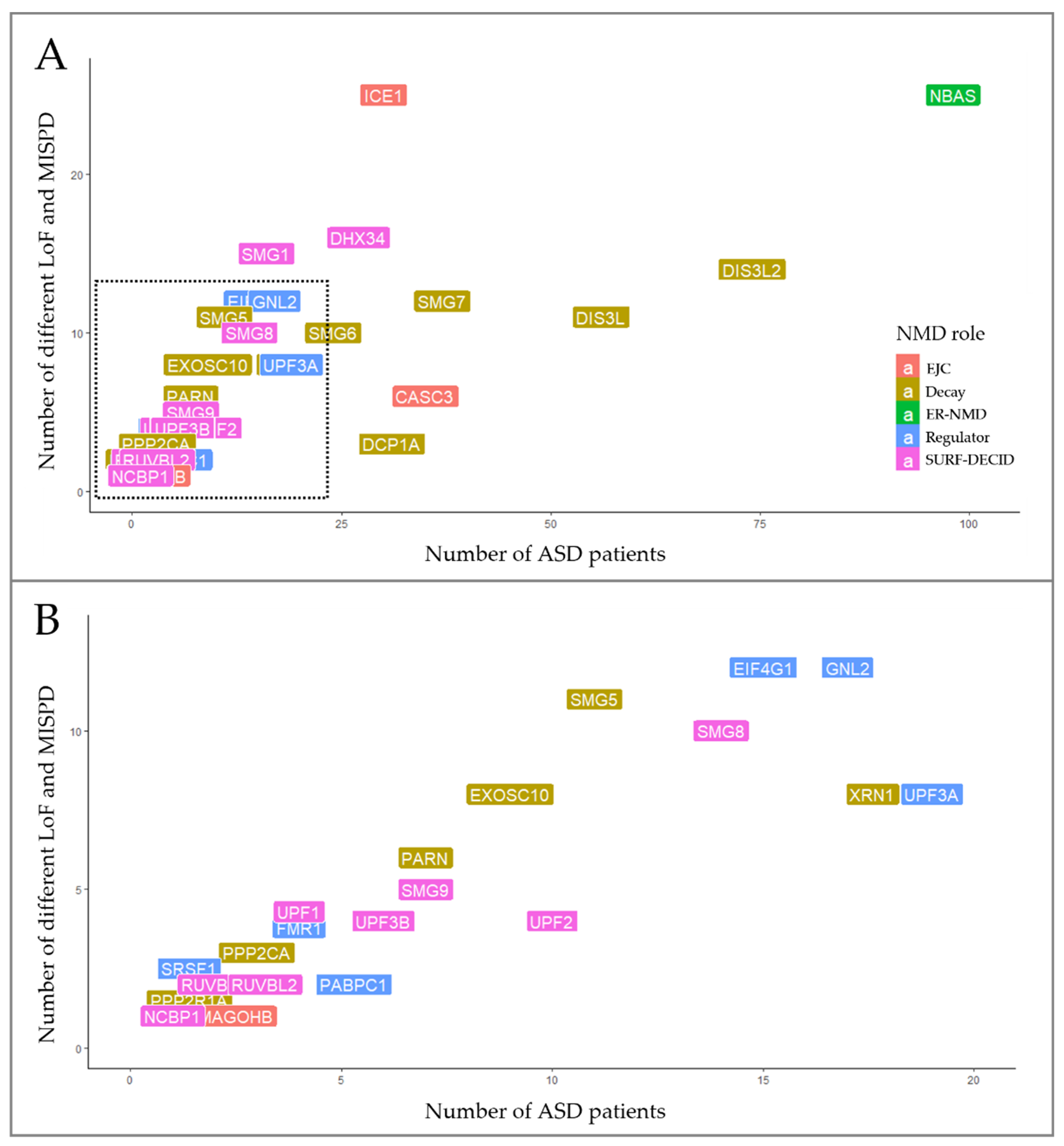 Biomedicines 10 00665 g003