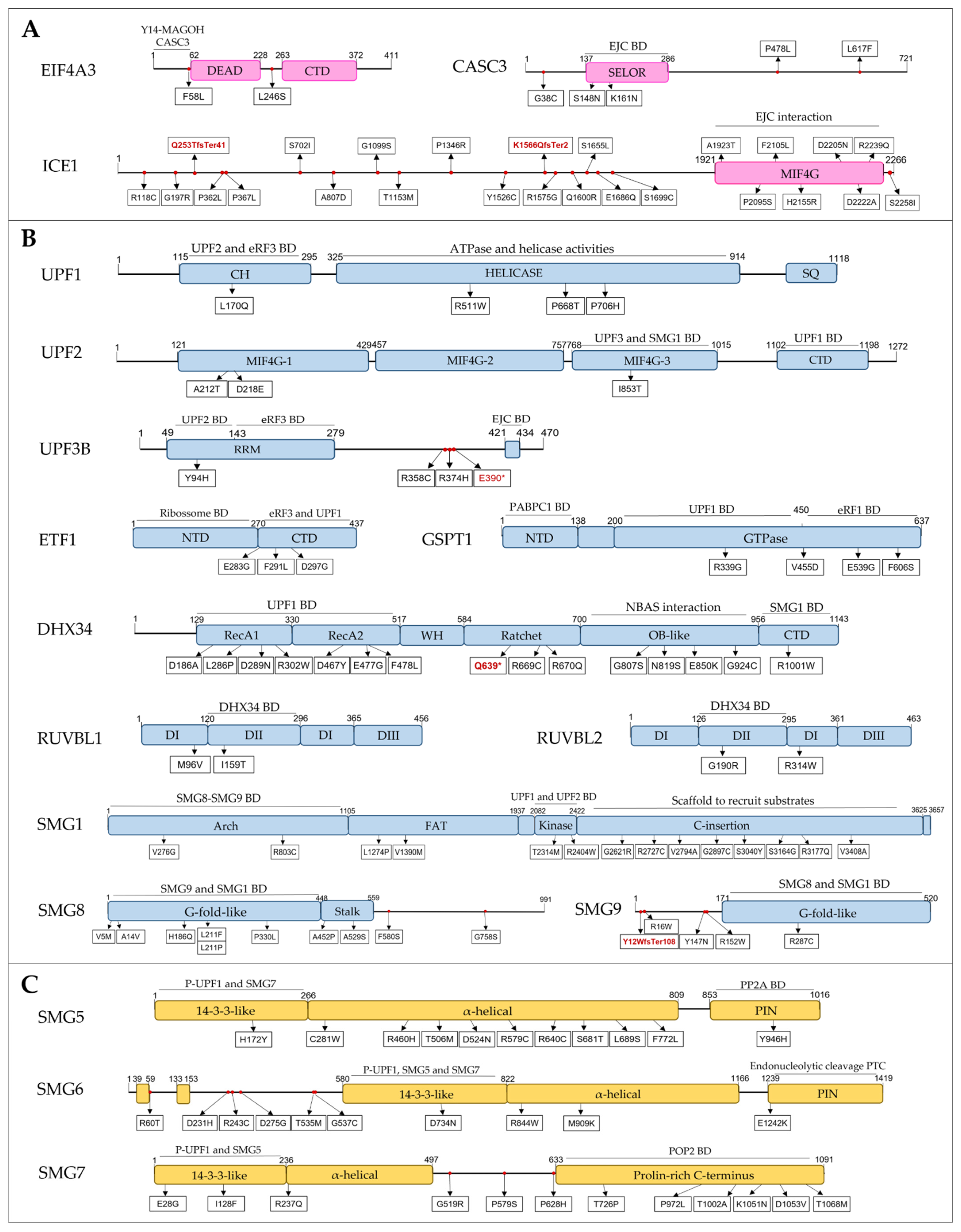 Biomedicines 10 00665 g004a