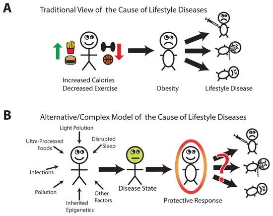 Biomedicines | Free Full-Text | On the Relationship between 