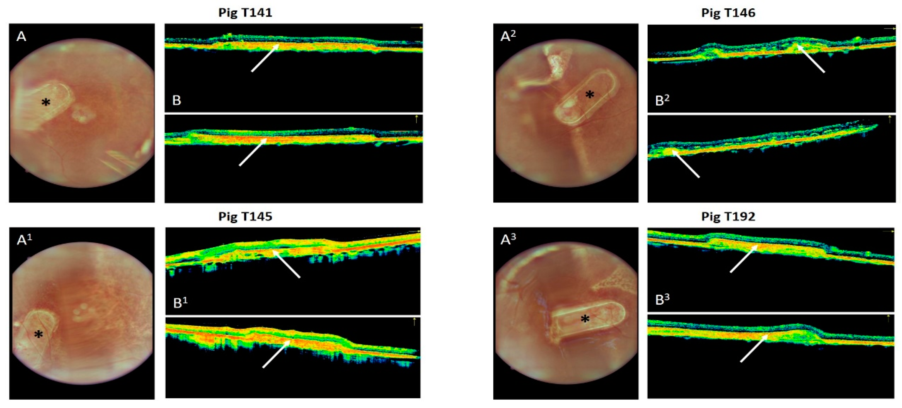 Biomedicines 10 00669 g004 Biomedicines 10 00669 g004