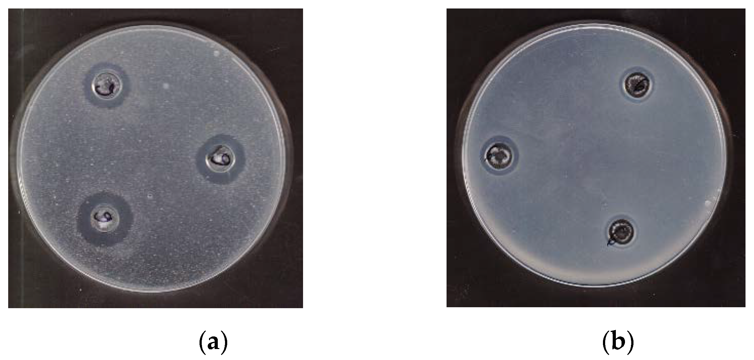 Biomedicines 10 00672 g001 550