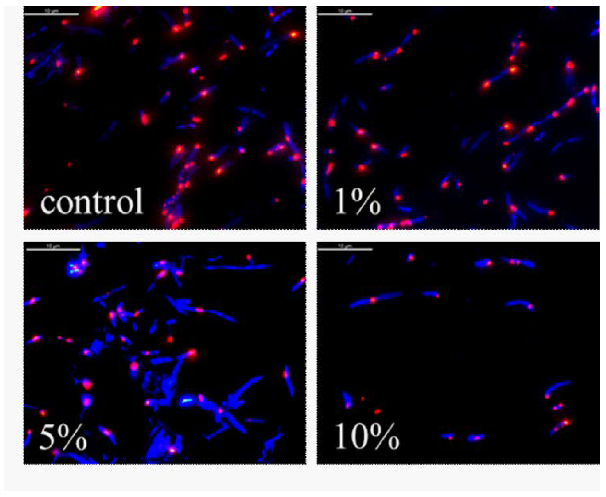 Biomedicines 10 00672 g009 550