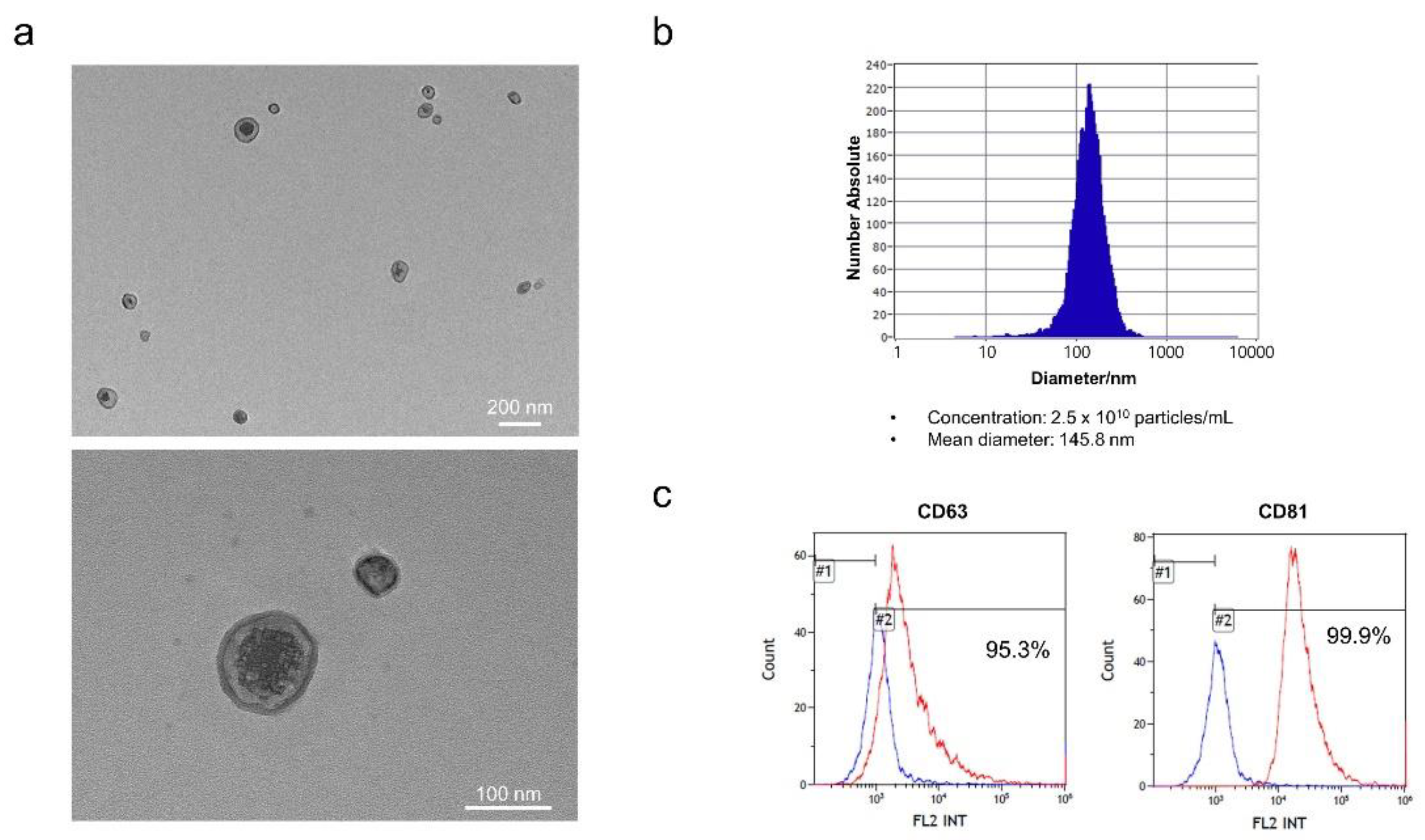 Biomedicines 10 00678 g002 550