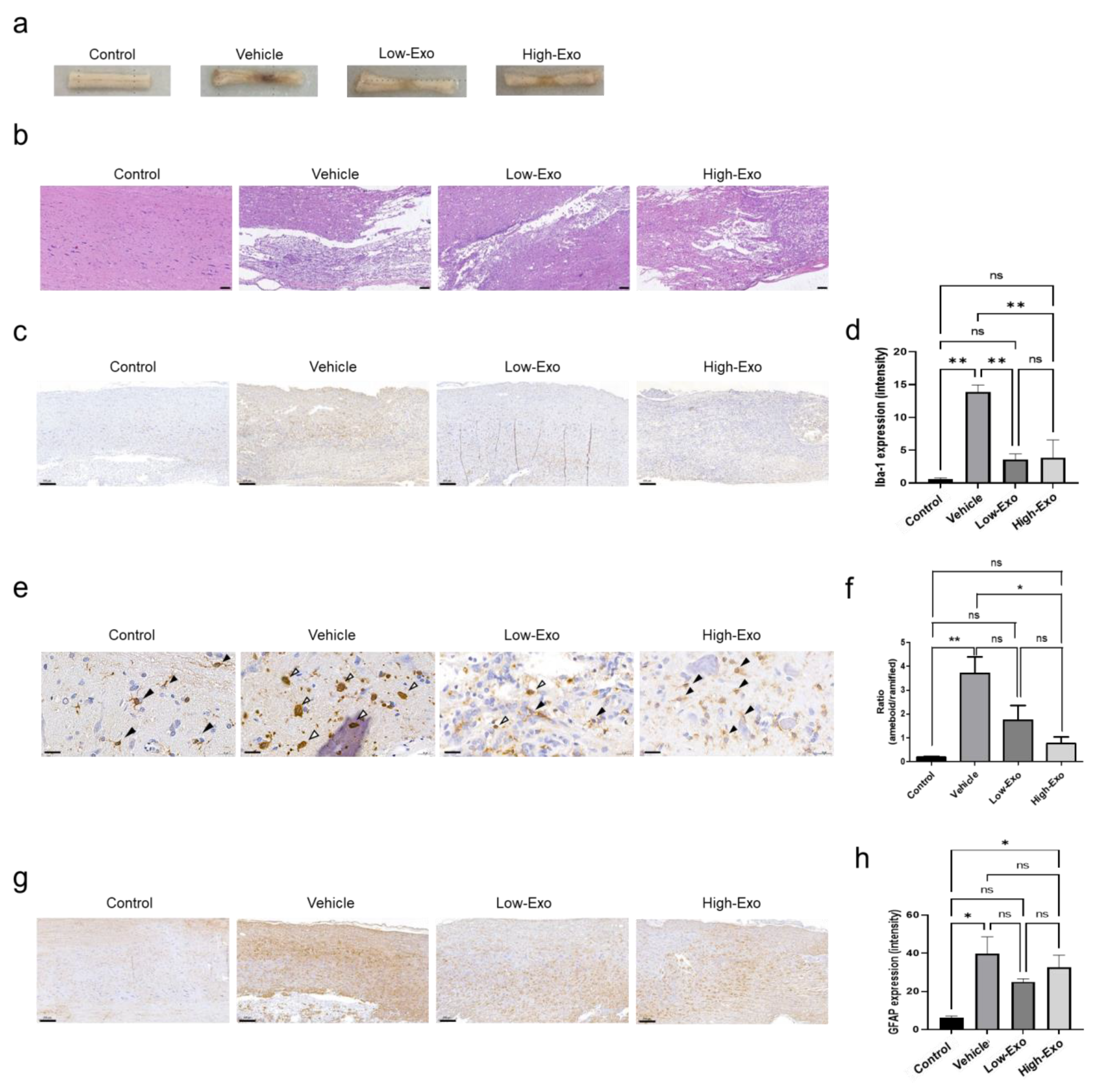 Biomedicines 10 00678 g004 550