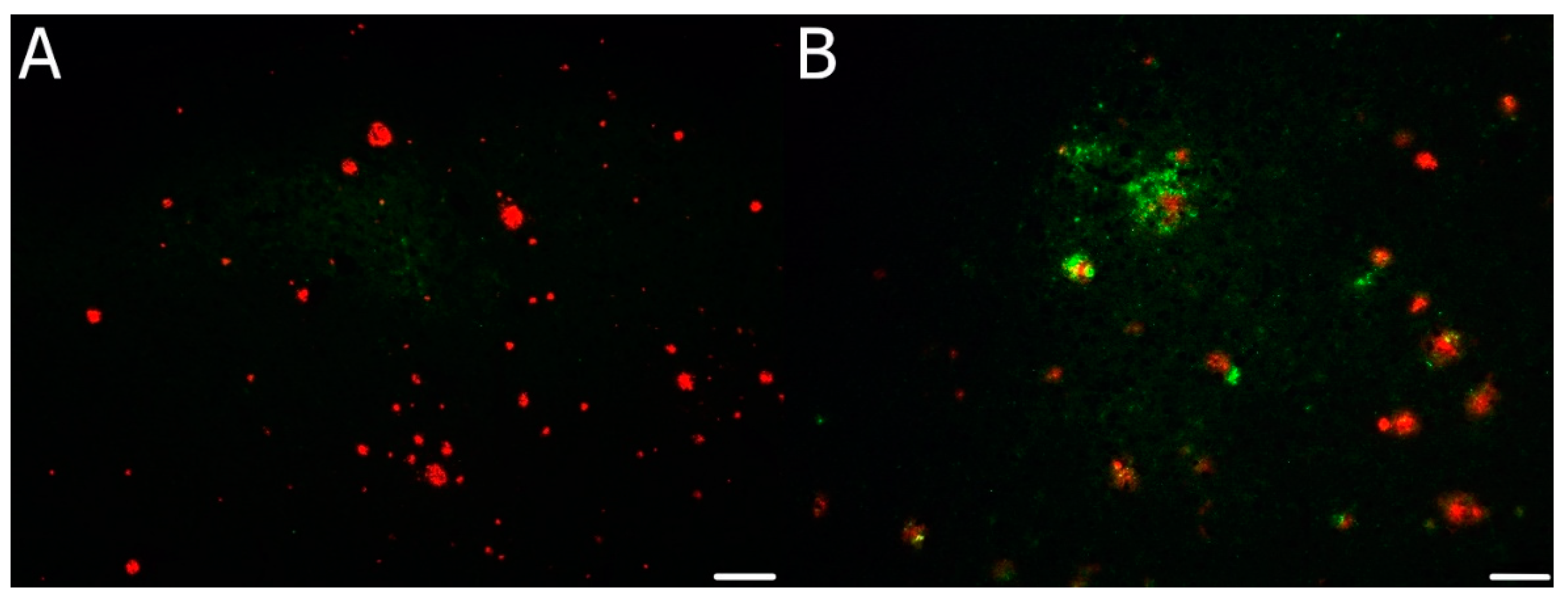 Biomedicines 10 00680 g004 Biomedicines 10 00680 g004