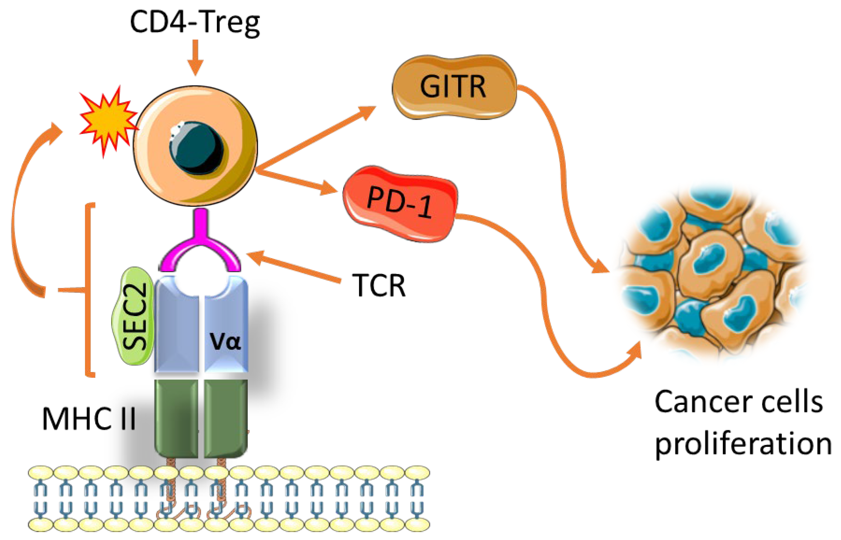 Biomedicines 10 00682 g006