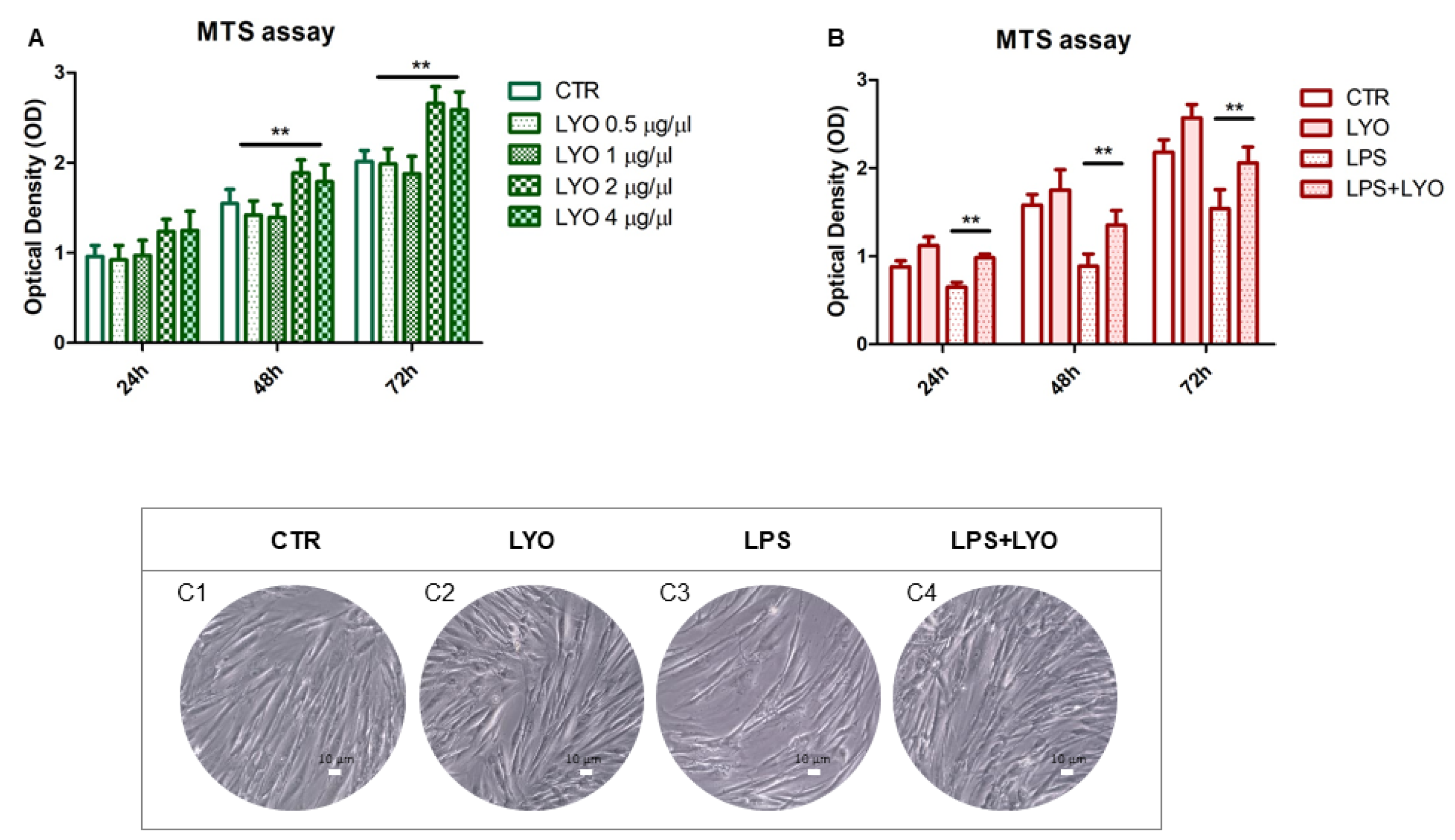 Biomedicines 10 00683 g001