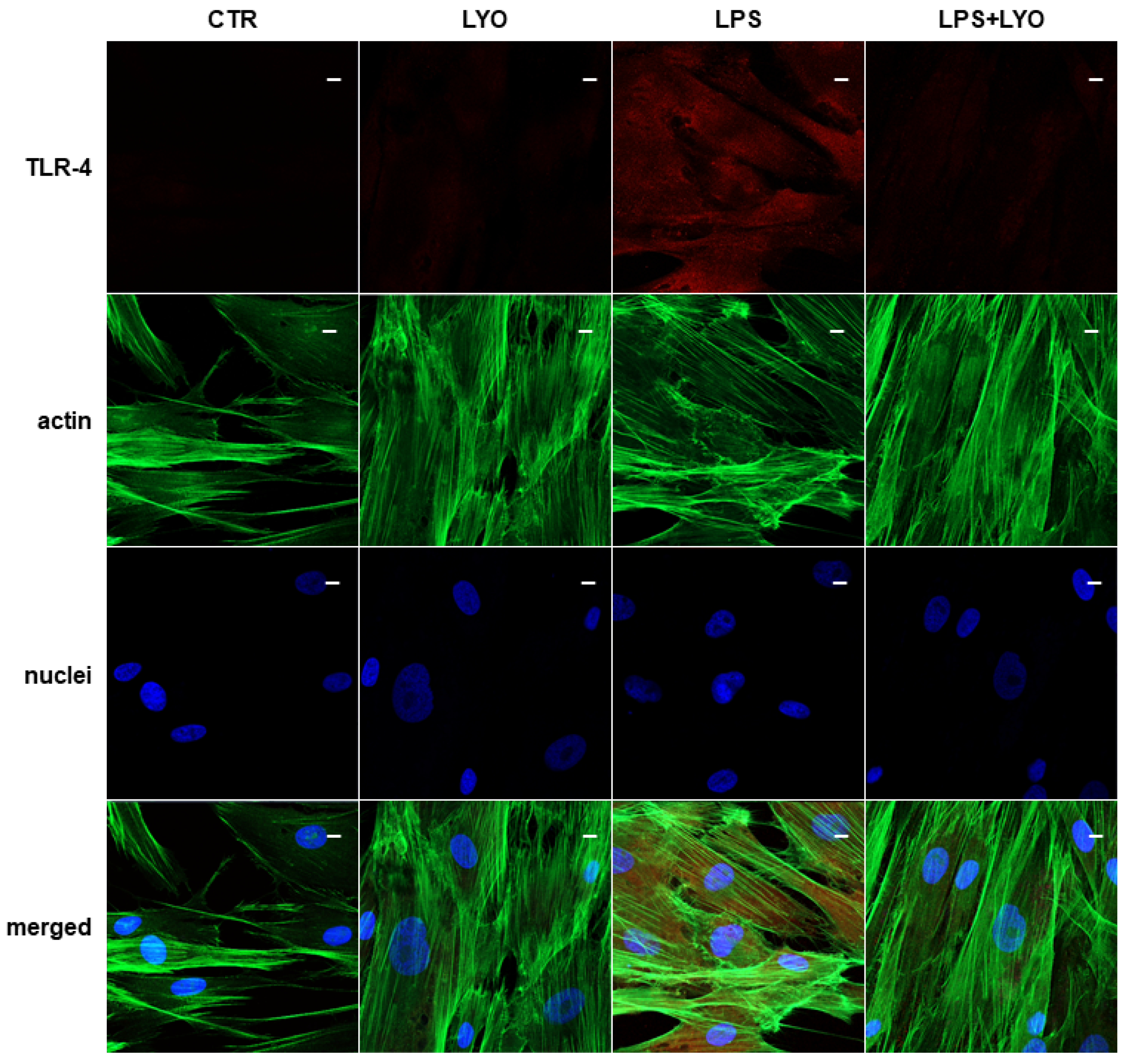 Biomedicines 10 00683 g003