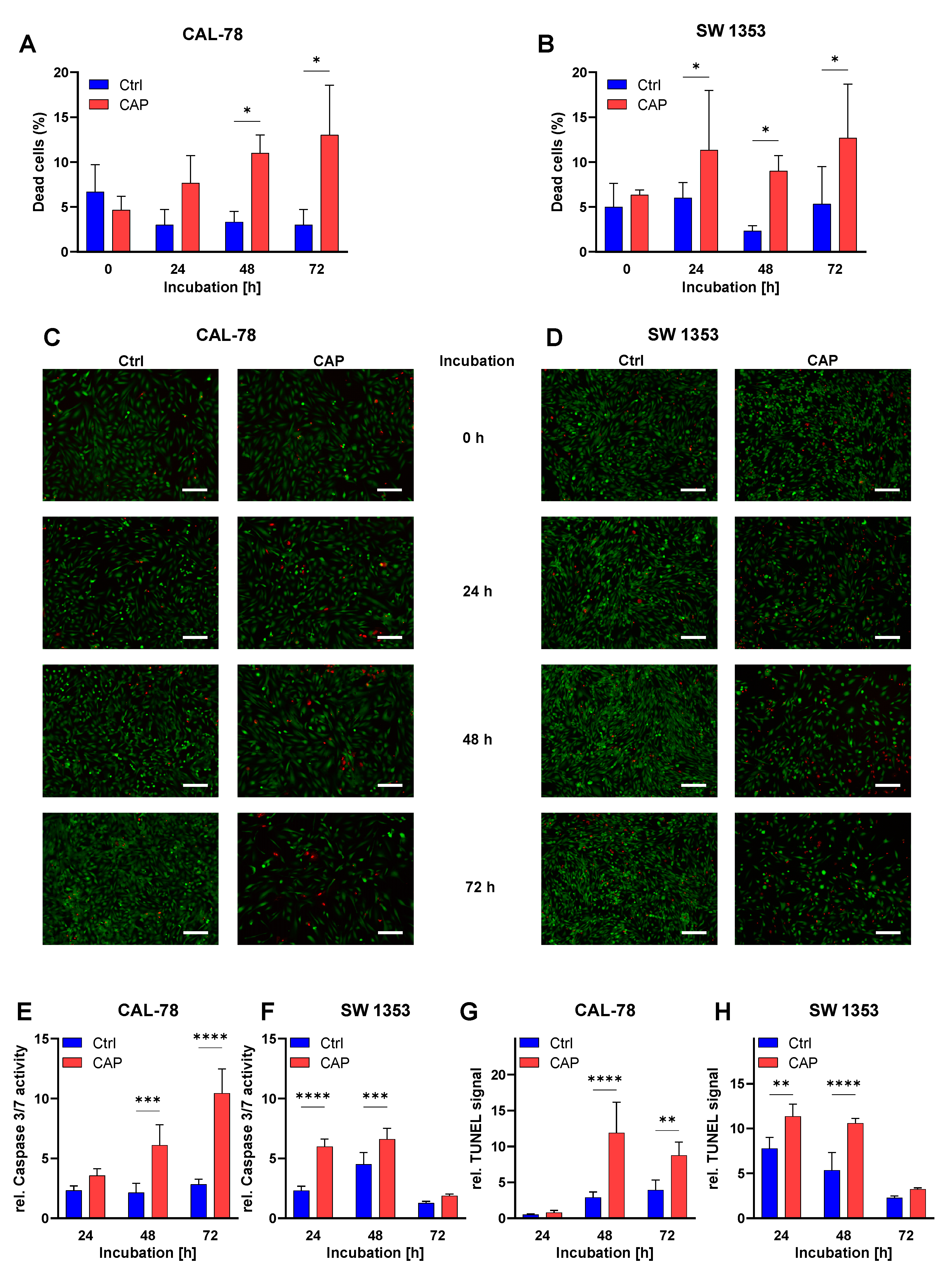 Biomedicines 10 00688 g003