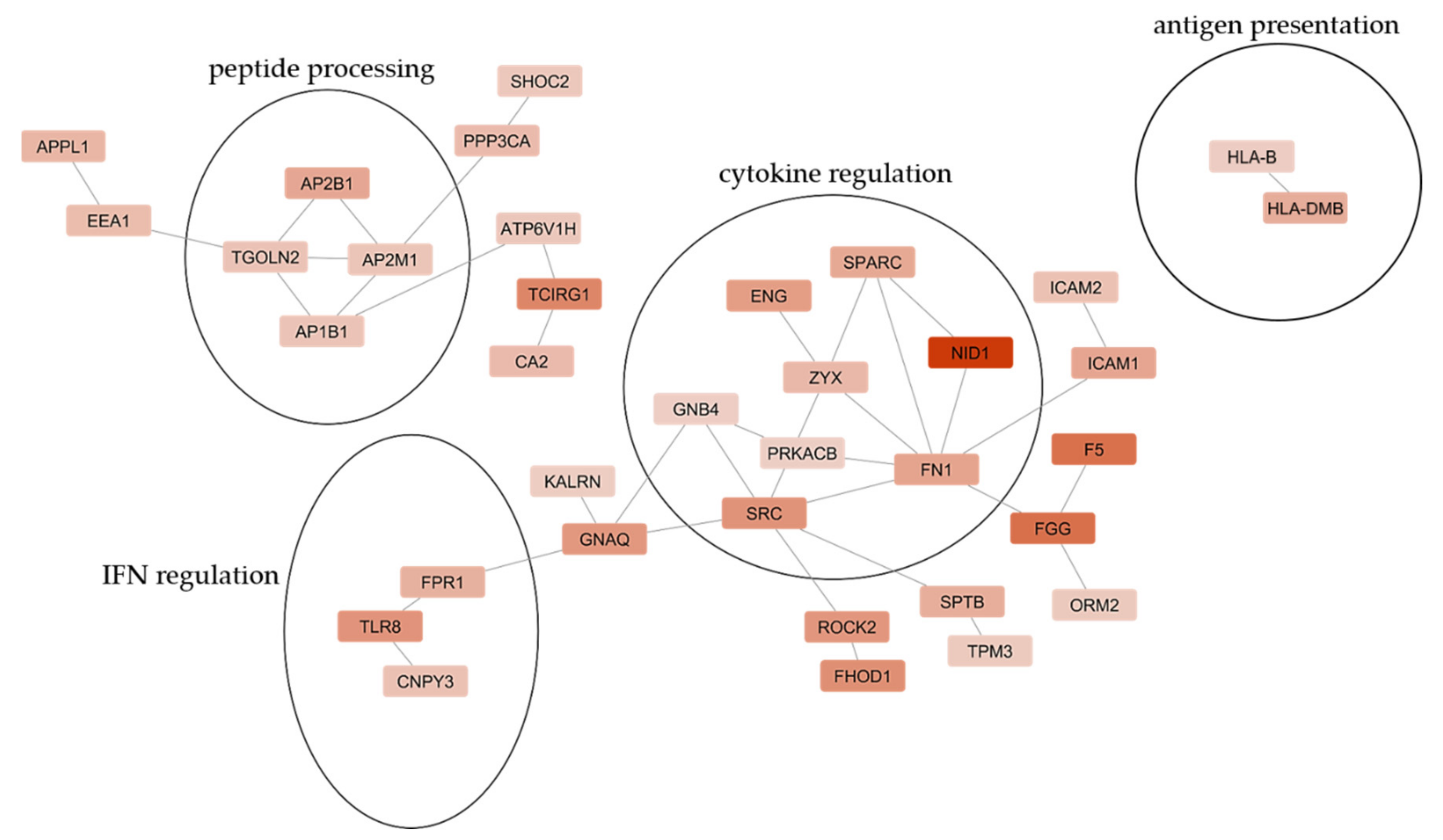Biomedicines 10 00693 g007 Biomedicines 10 00693 g007