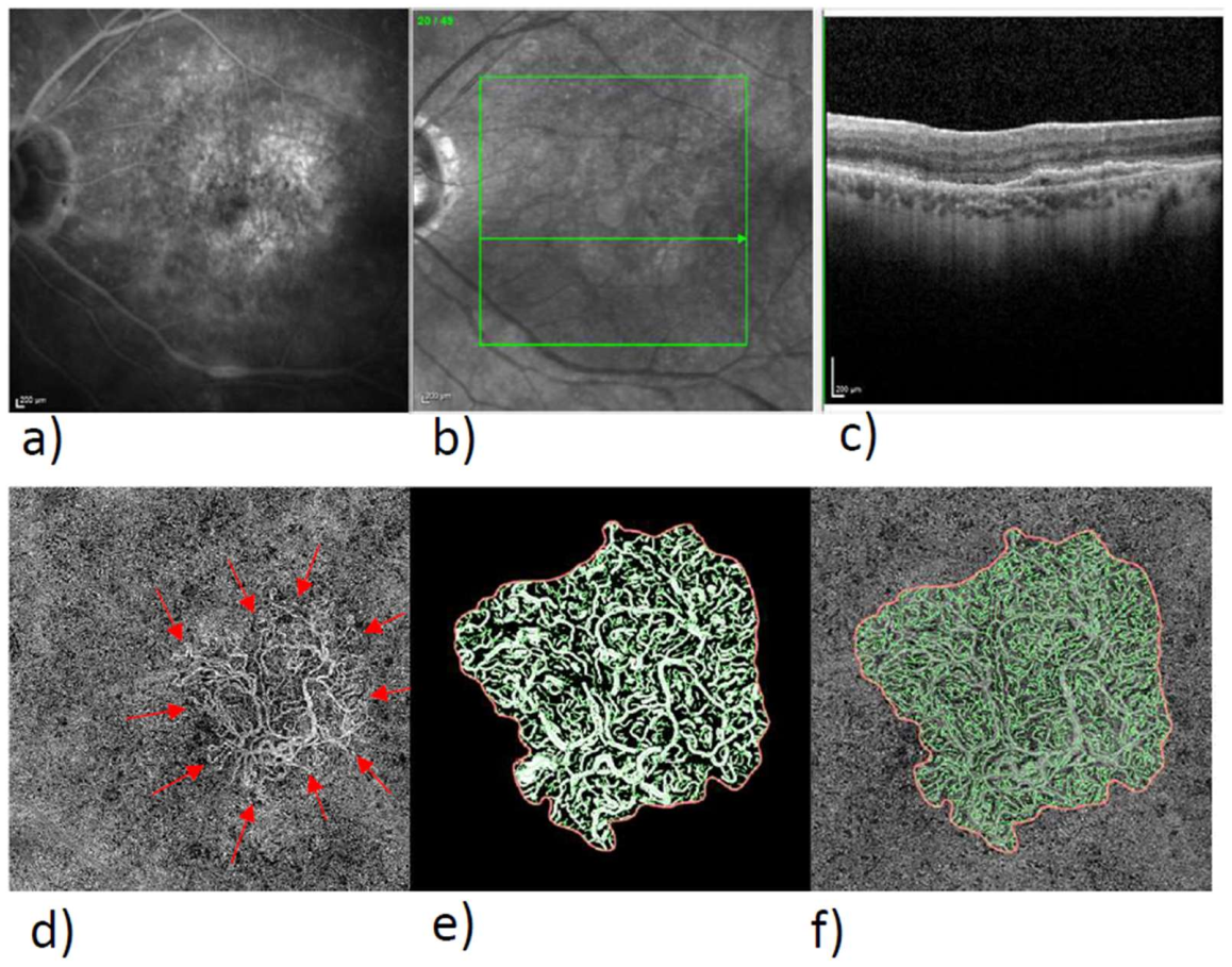Biomedicines 10 00694 g001