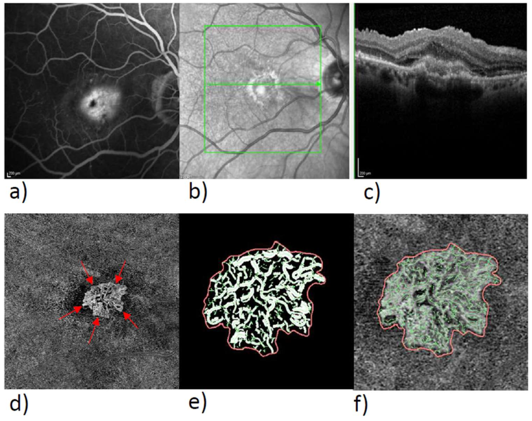 Biomedicines 10 00694 g002