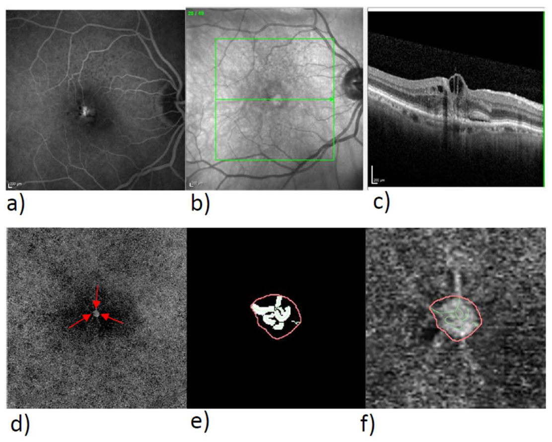Biomedicines 10 00694 g003