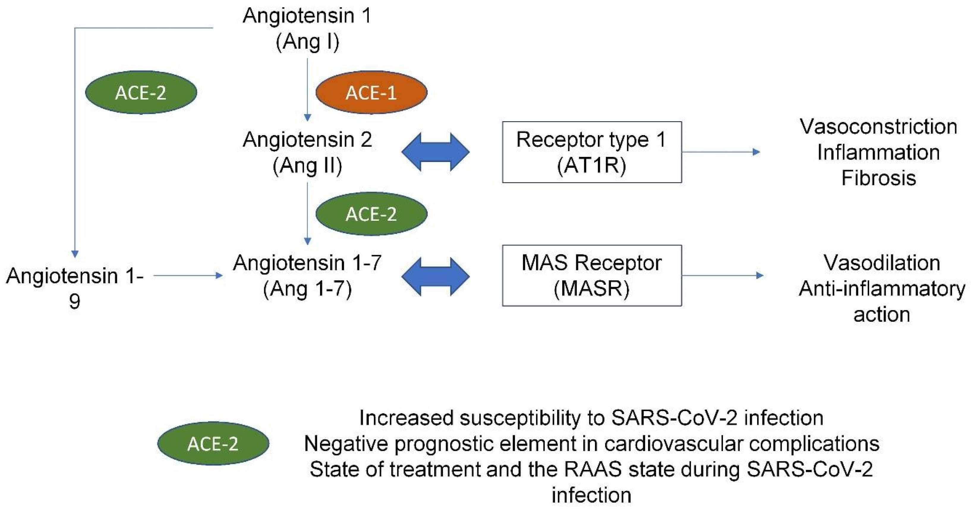Biomedicines 10 00702 g003