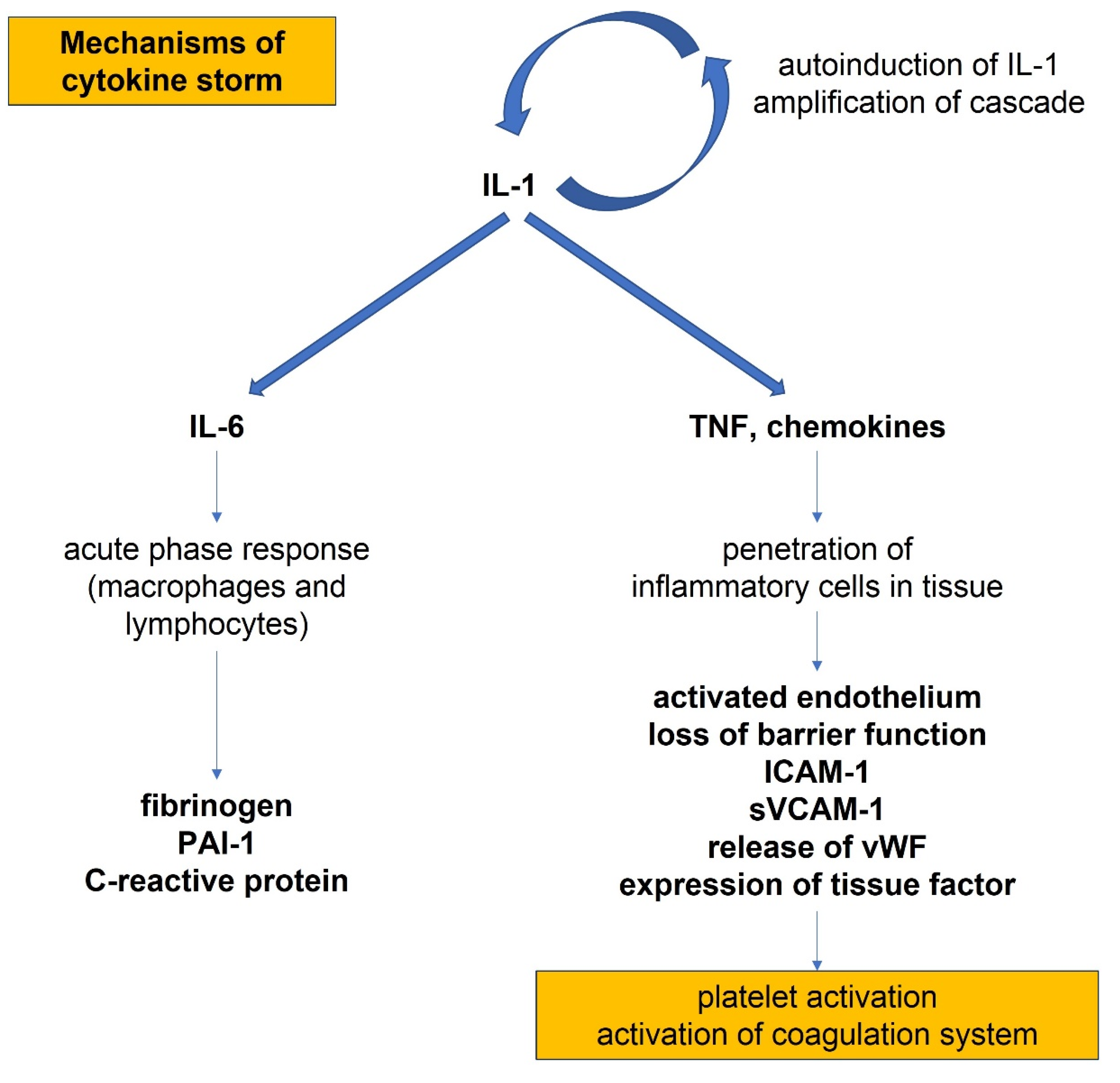 Biomedicines 10 00702 g004