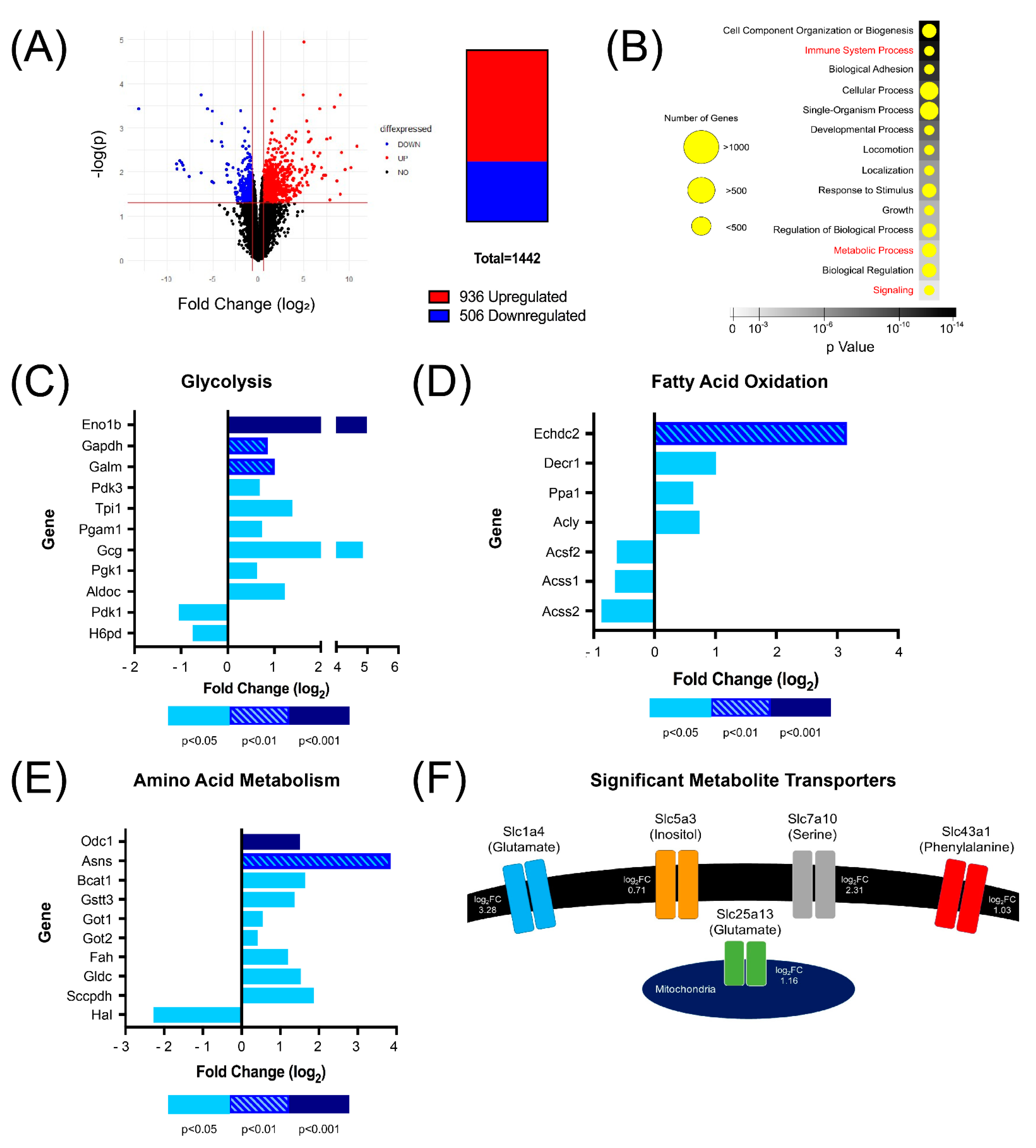 Biomedicines 10 00704 g003
