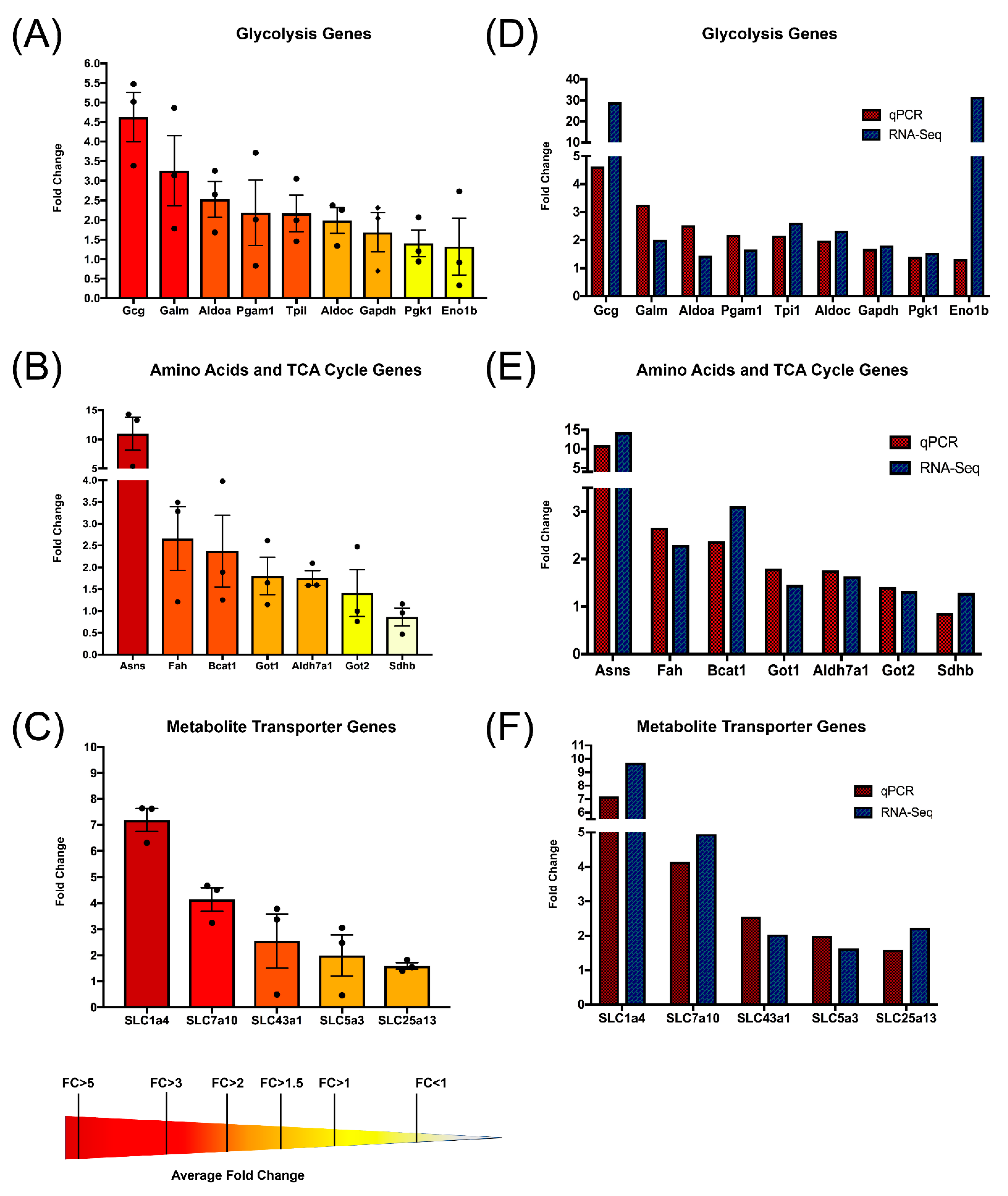 Biomedicines 10 00704 g005