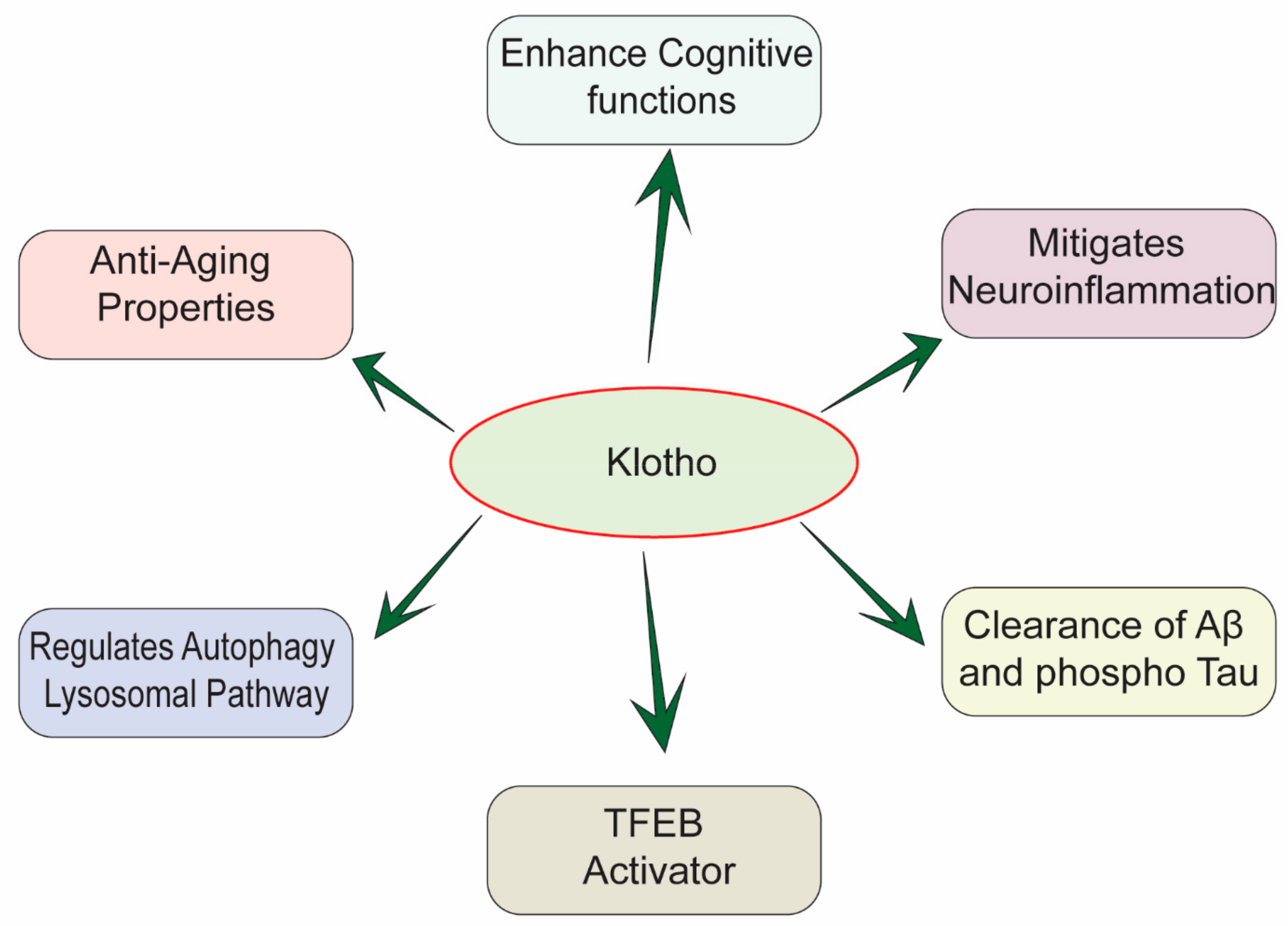 Biomedicines 10 00705 g001 550