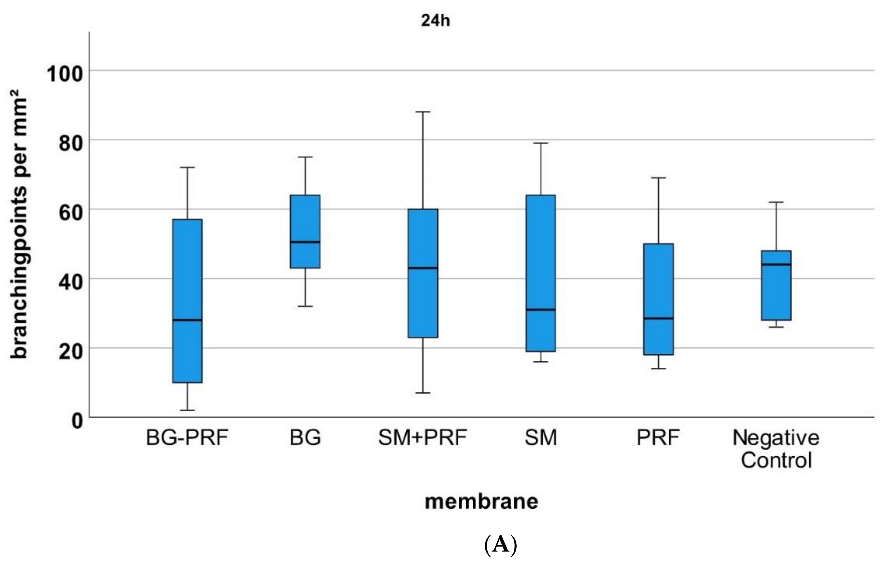 Biomedicines 10 00706 g006a