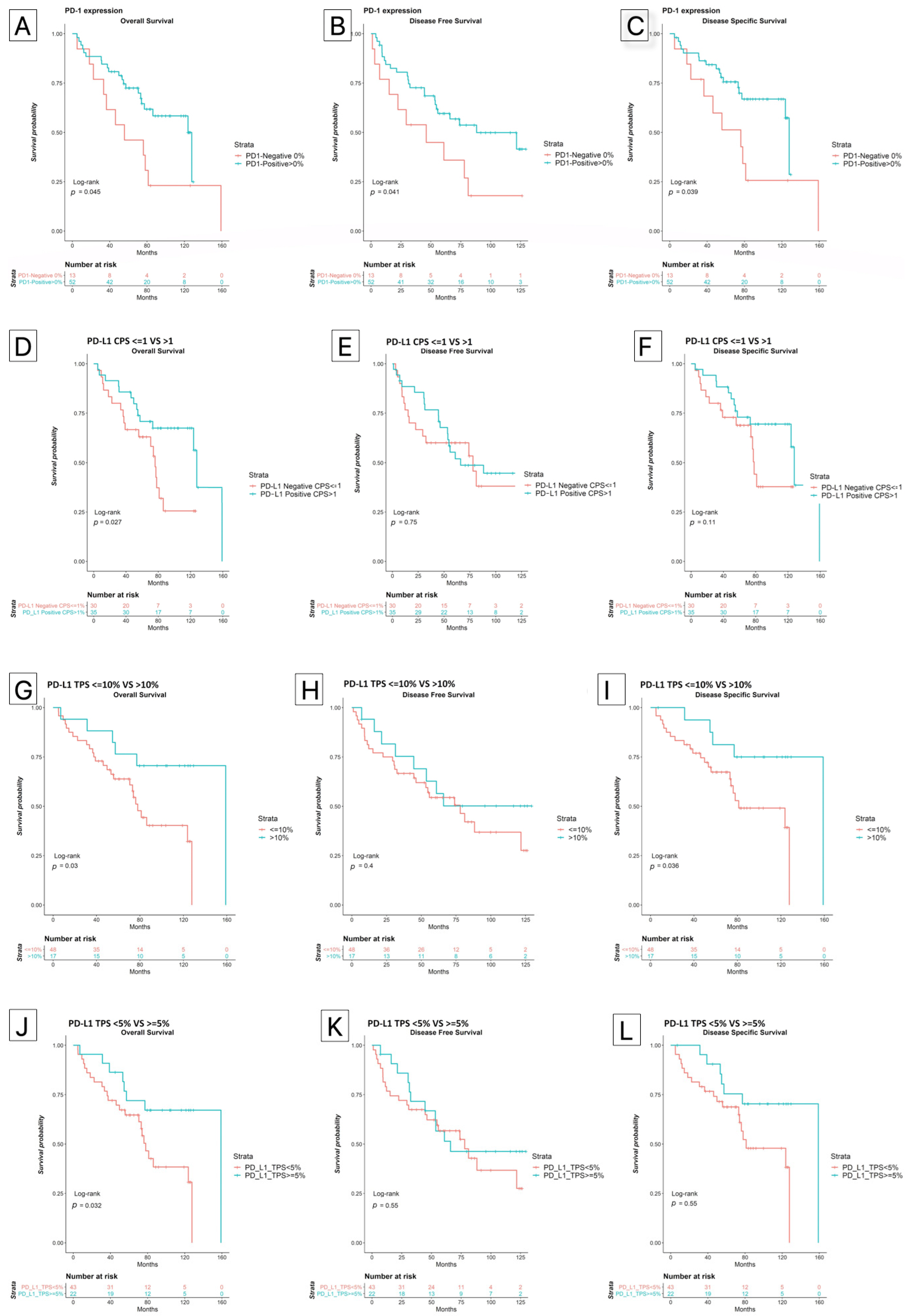 Biomedicines 10 00710 g002 Biomedicines 10 00710 g002