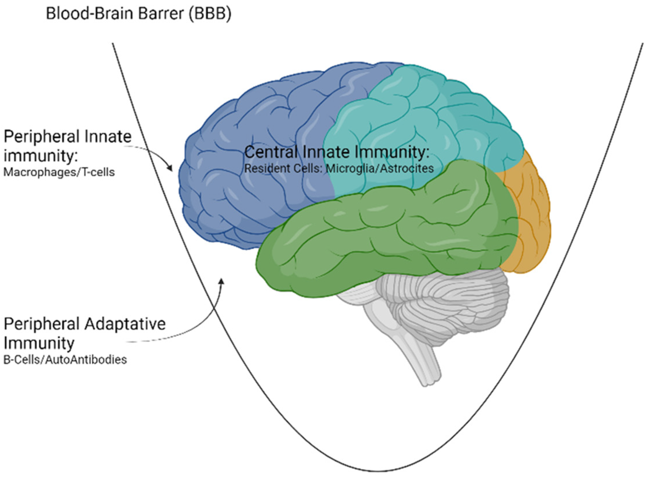 Biomedicines 10 00716 g001