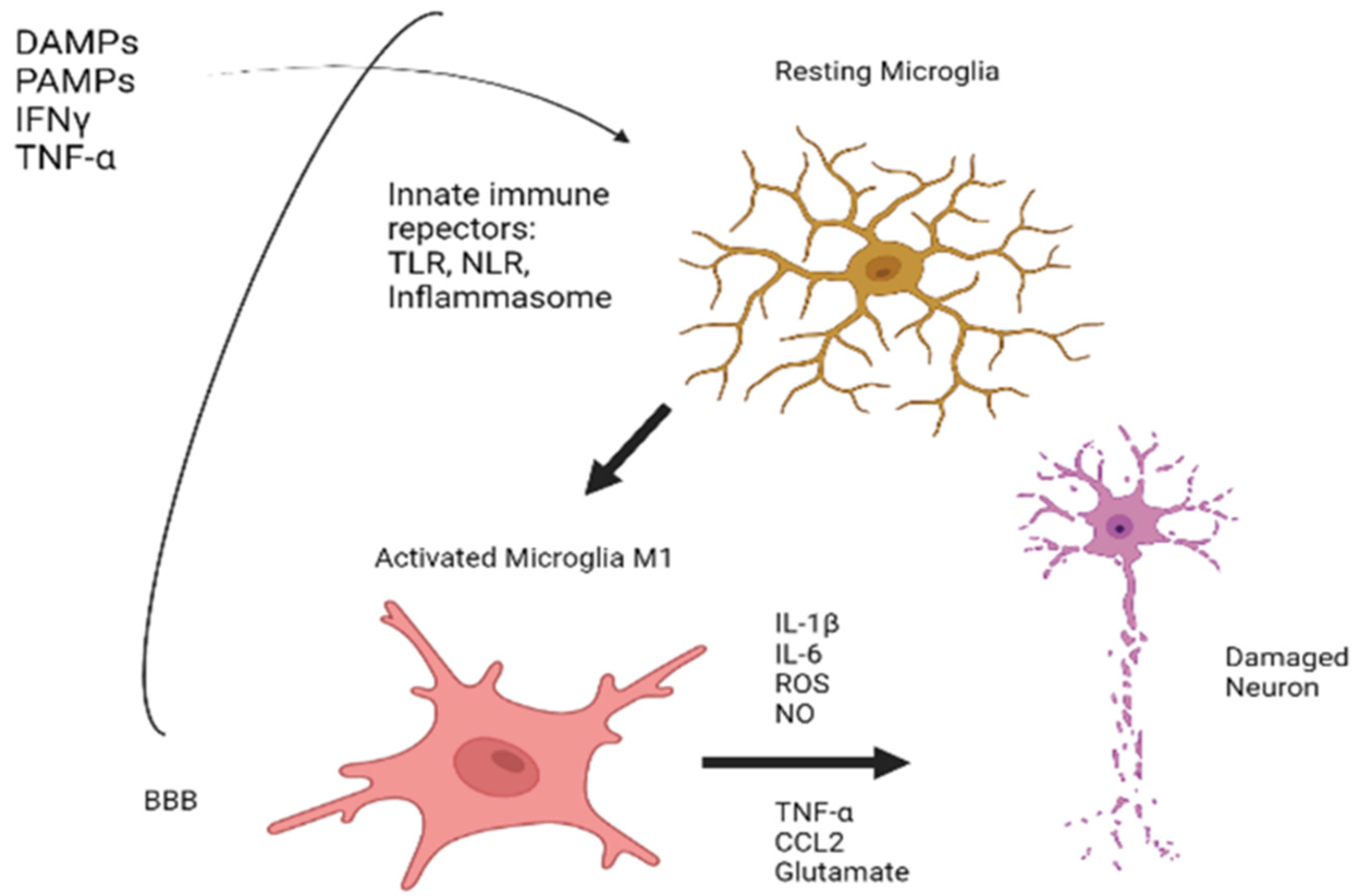 Biomedicines 10 00716 g002