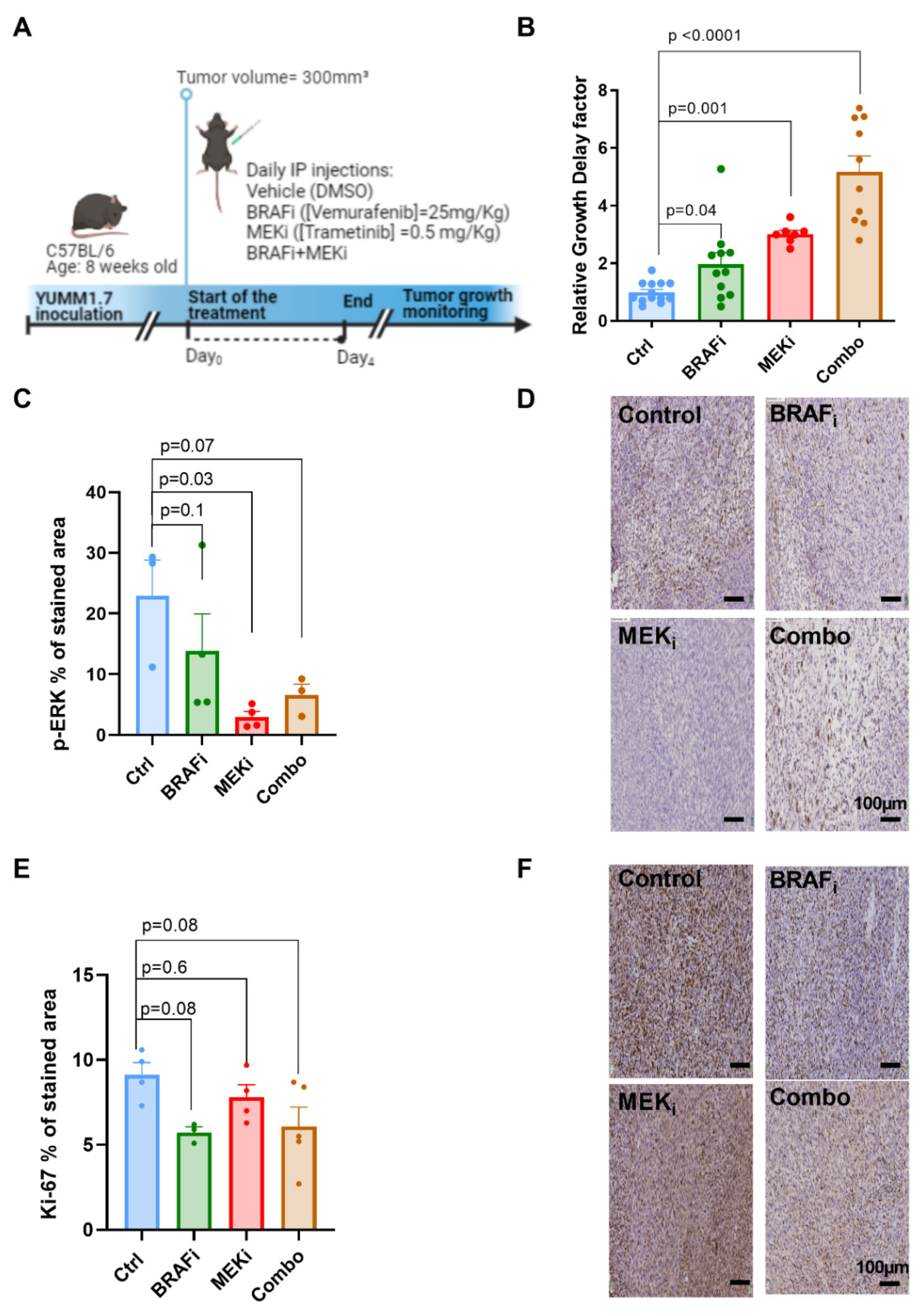 Biomedicines 10 00717 g001