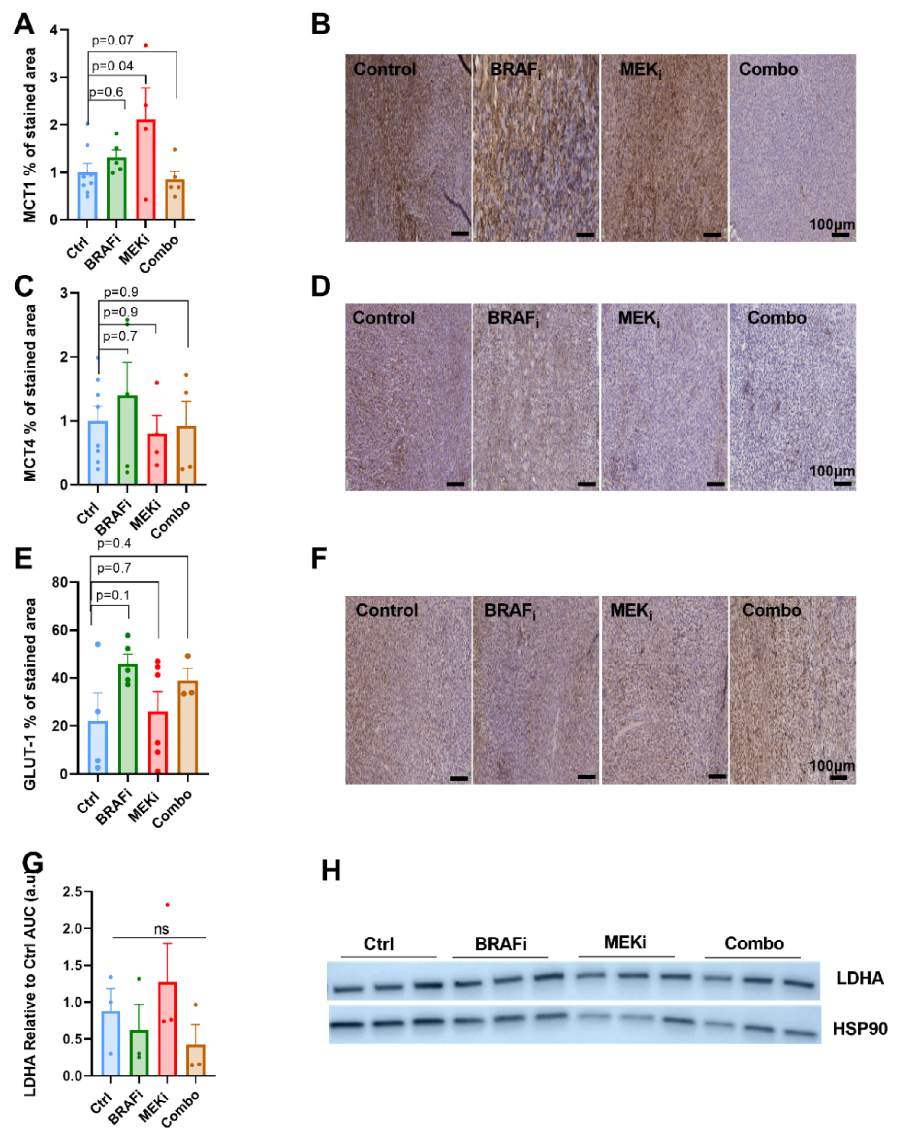 Biomedicines 10 00717 g004