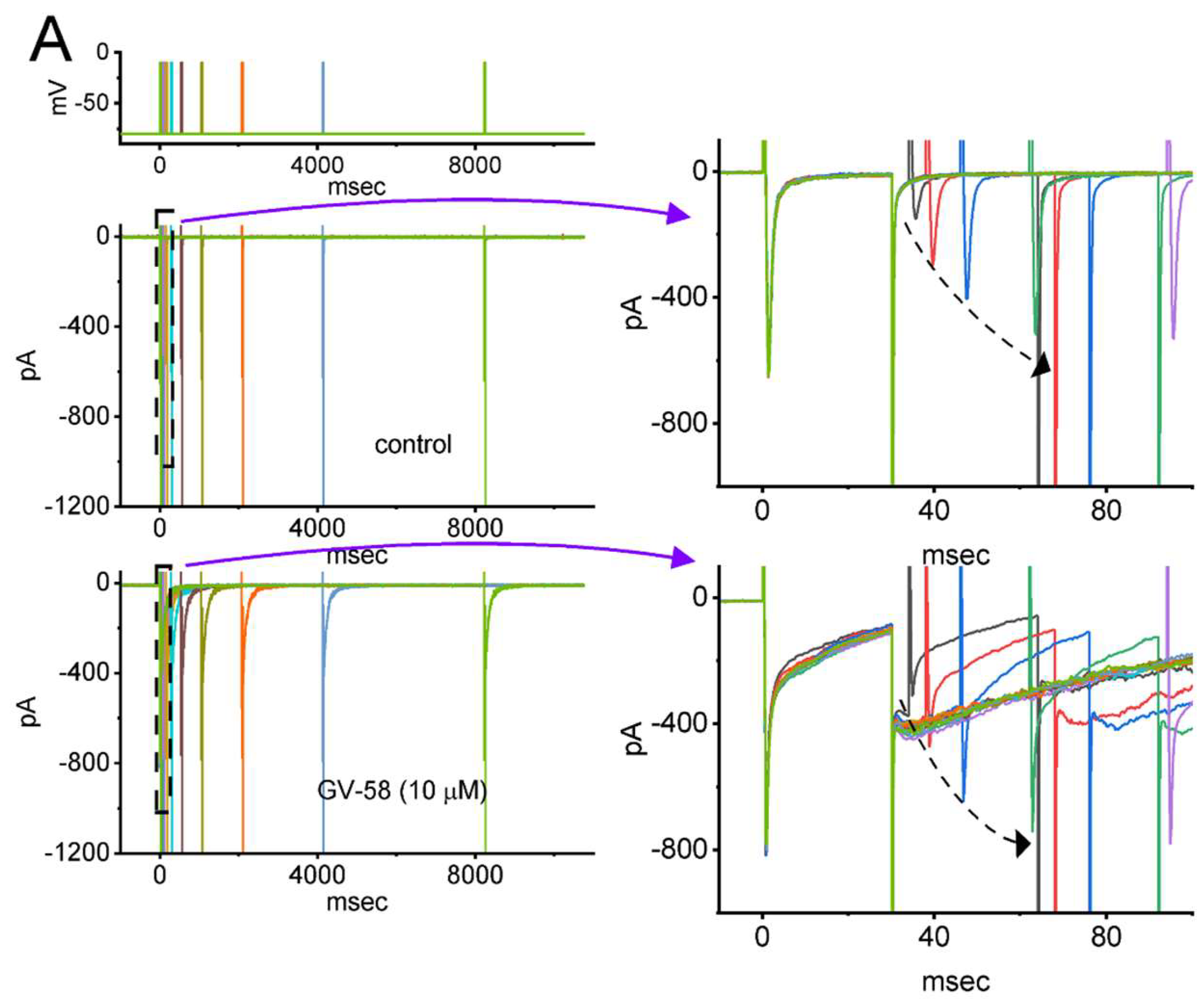Biomedicines 10 00721 g004a