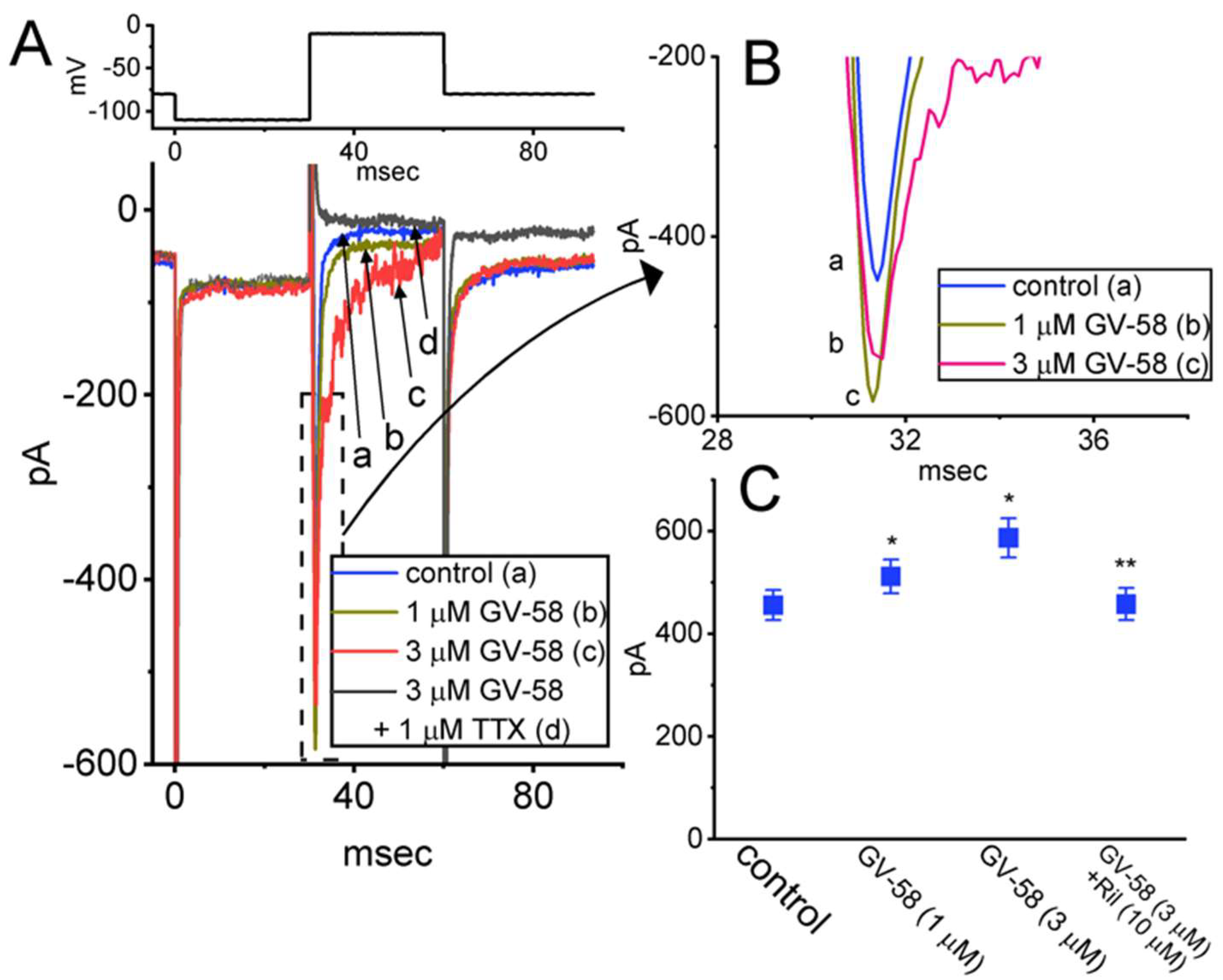 Biomedicines 10 00721 g012