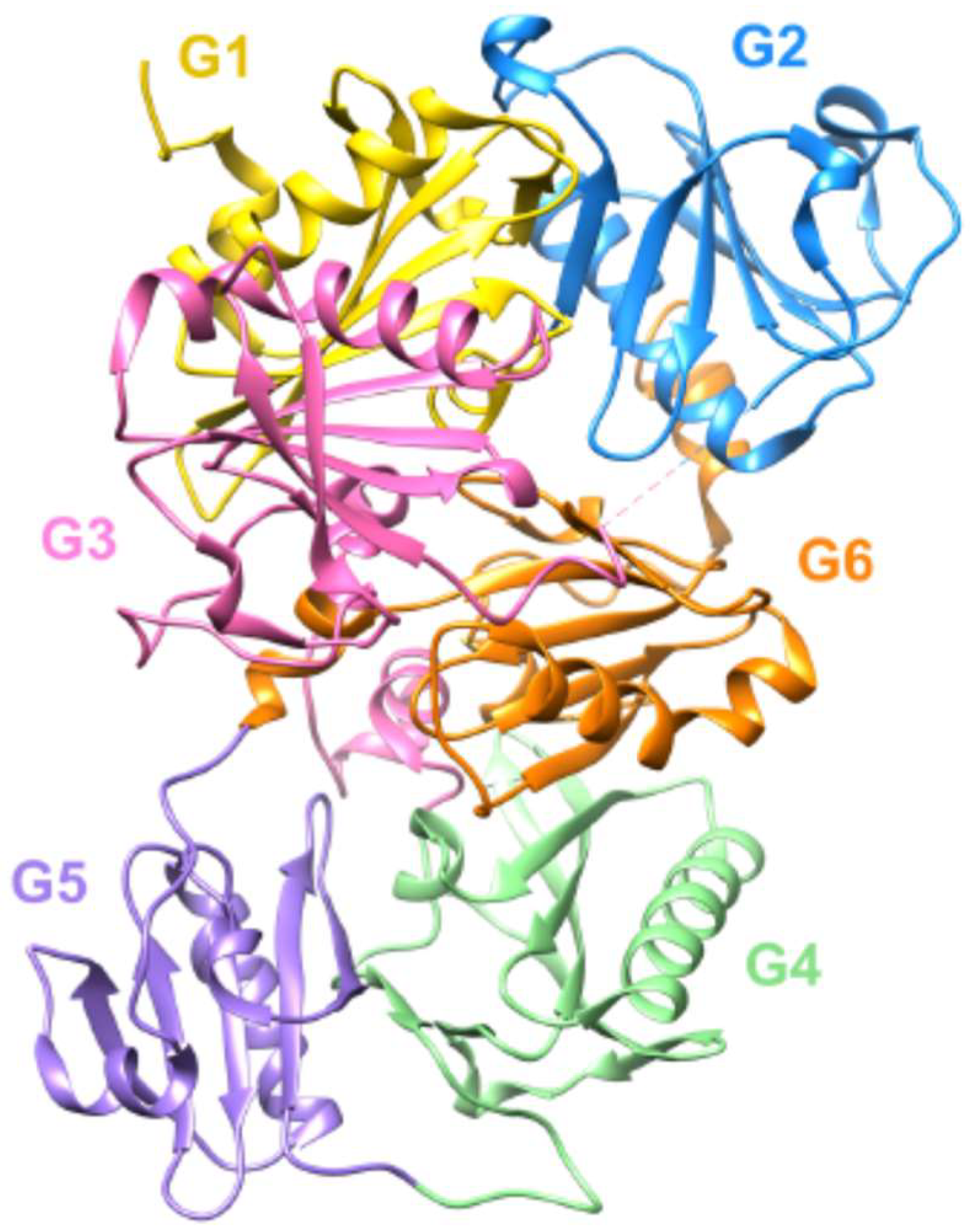 Biomedicines 10 00723 g001 550